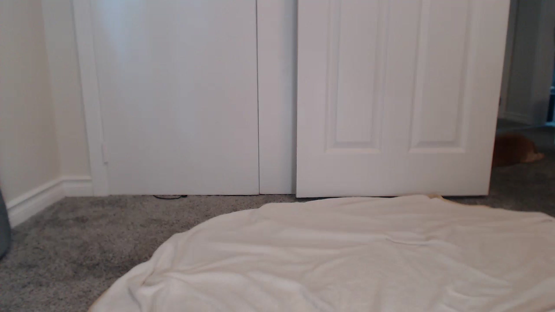 Gallery image thumbnail from Pot_Kitten's myfreecams stream on, 06/19/2024, 20:27 image 6 of 20