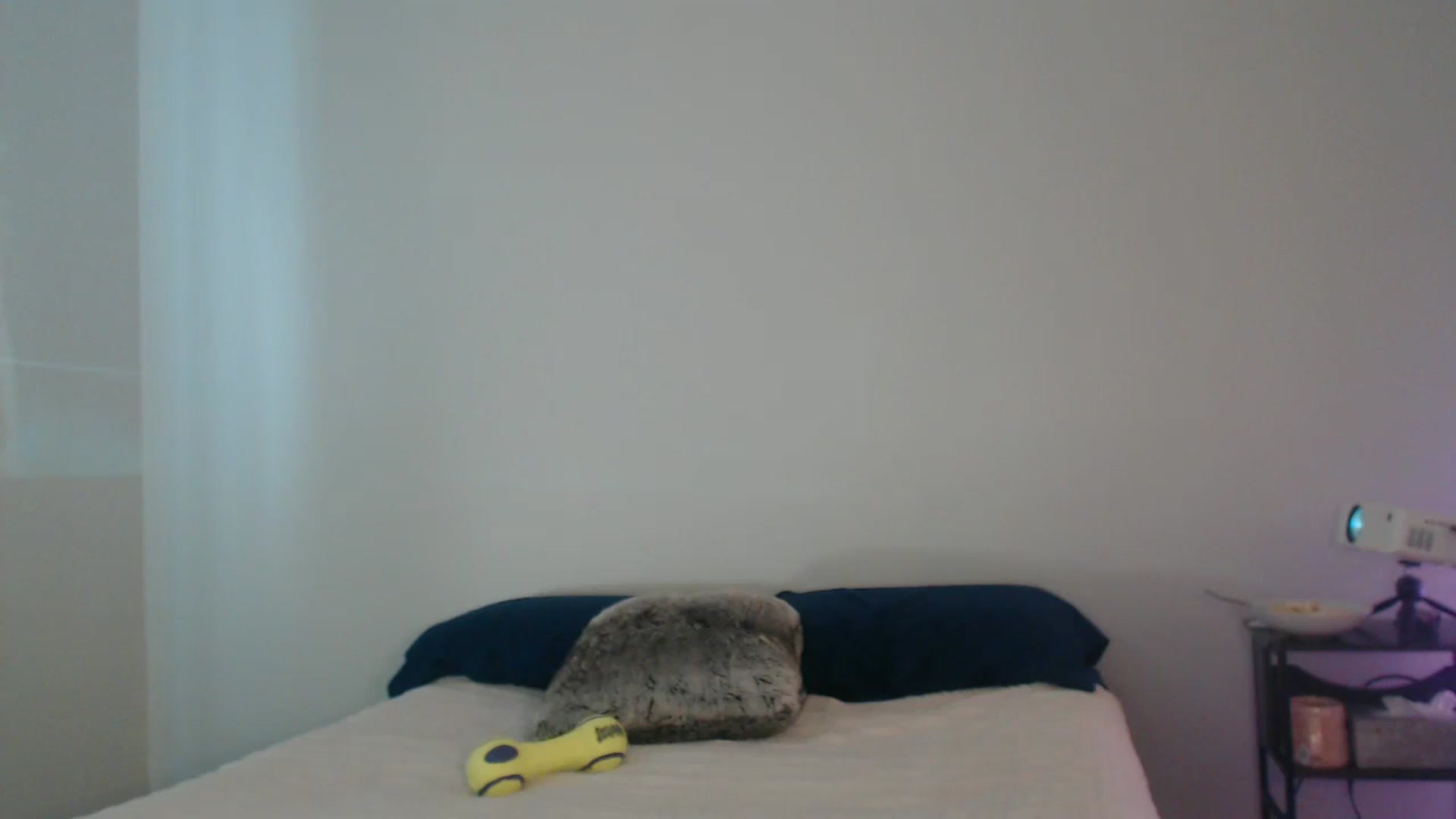 Gallery image thumbnail from Pot_Kitten's myfreecams stream on, 02/11/2025, 18:47 image 1 of 20
