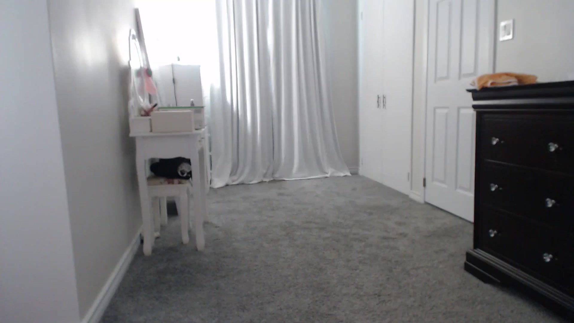 Gallery image thumbnail from Pot_Kitten's myfreecams stream on, 09/23/2025, 18:31 image 13 of 20