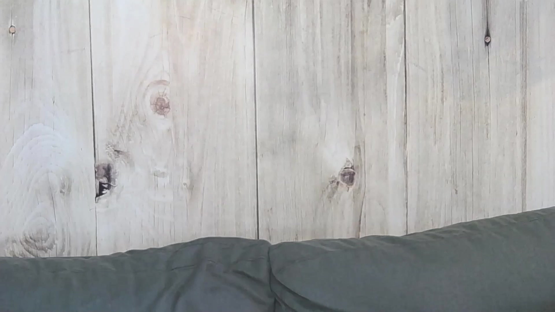 Gallery image thumbnail from PoxyVibe's myfreecams stream on, 10/04/2023, 15:25 image 1 of 20