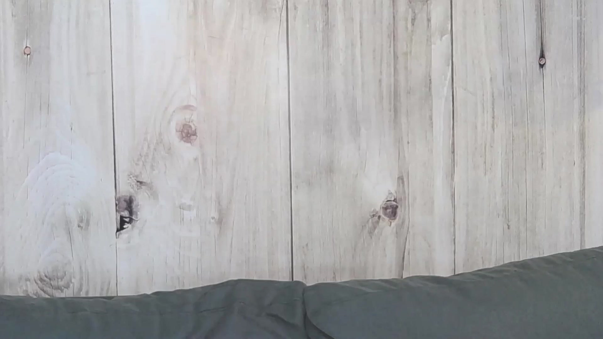 Gallery image thumbnail from PoxyVibe's myfreecams stream on, 10/04/2023, 15:25 image 8 of 20