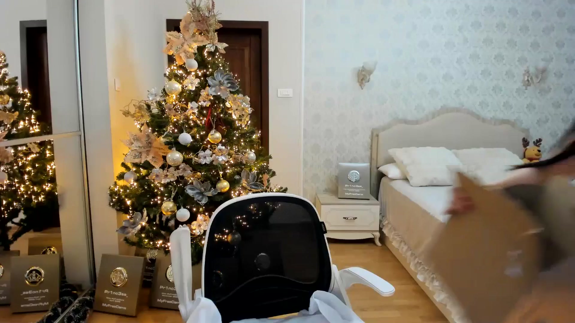 Gallery image thumbnail from Pr1nc3ss_'s myfreecams stream on, 12/25/2025, 08:34 image 14 of 20