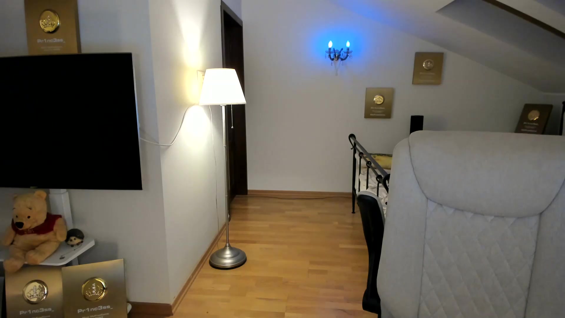 Gallery image thumbnail from Pr1nc3ss_'s myfreecams stream on, 09/05/2026, 18:05 image 4 of 20