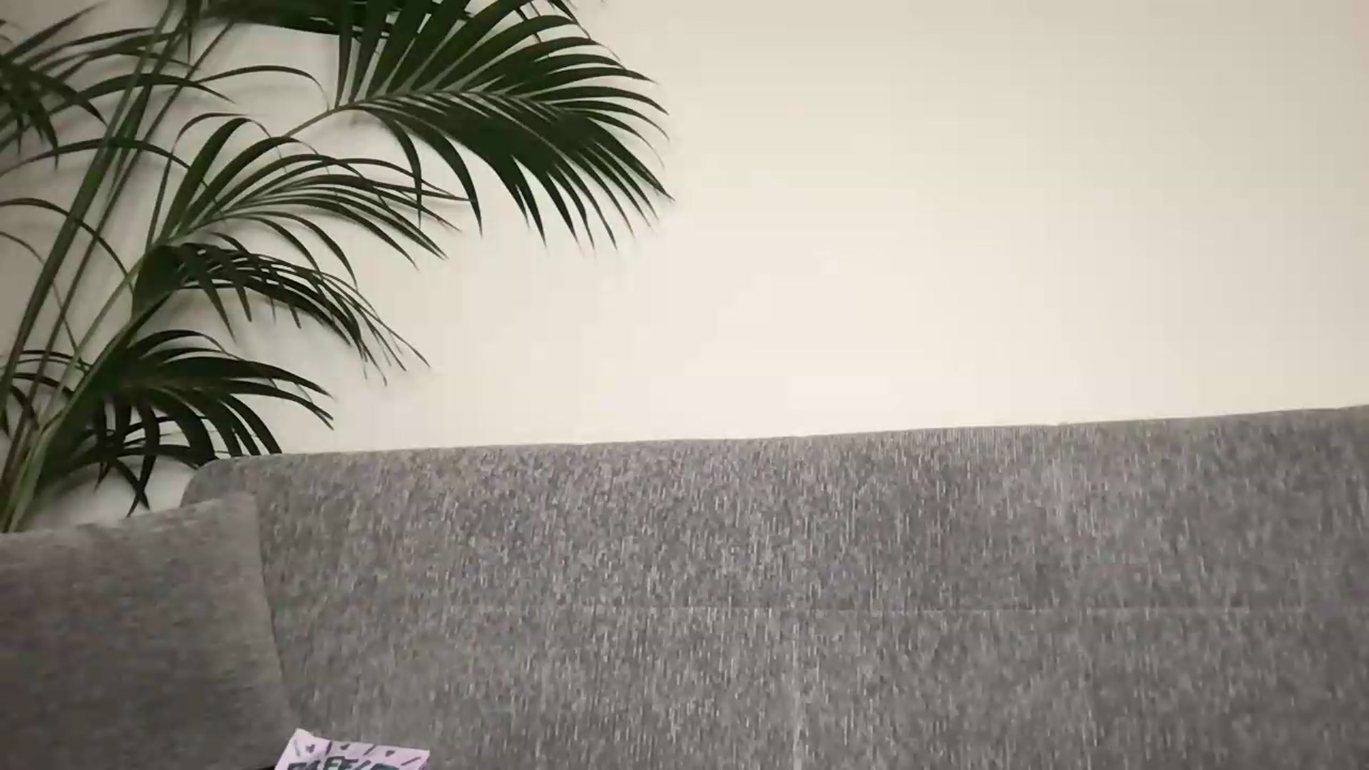 Gallery image thumbnail from PreBdayMonth's myfreecams stream on, 06/14/2026, 22:06 image 14 of 20