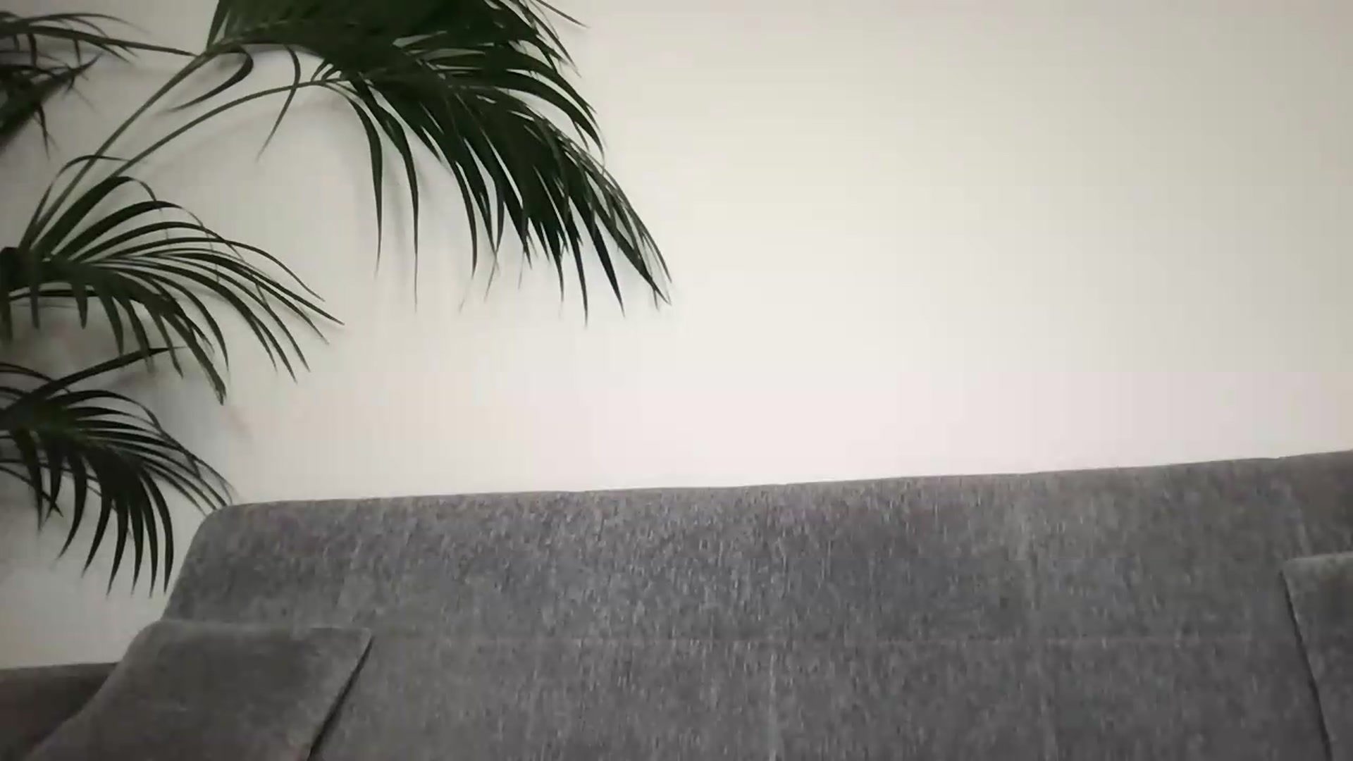 Gallery image thumbnail from PreBdayMonth's myfreecams stream on, 09/20/2026, 22:37 image 19 of 20