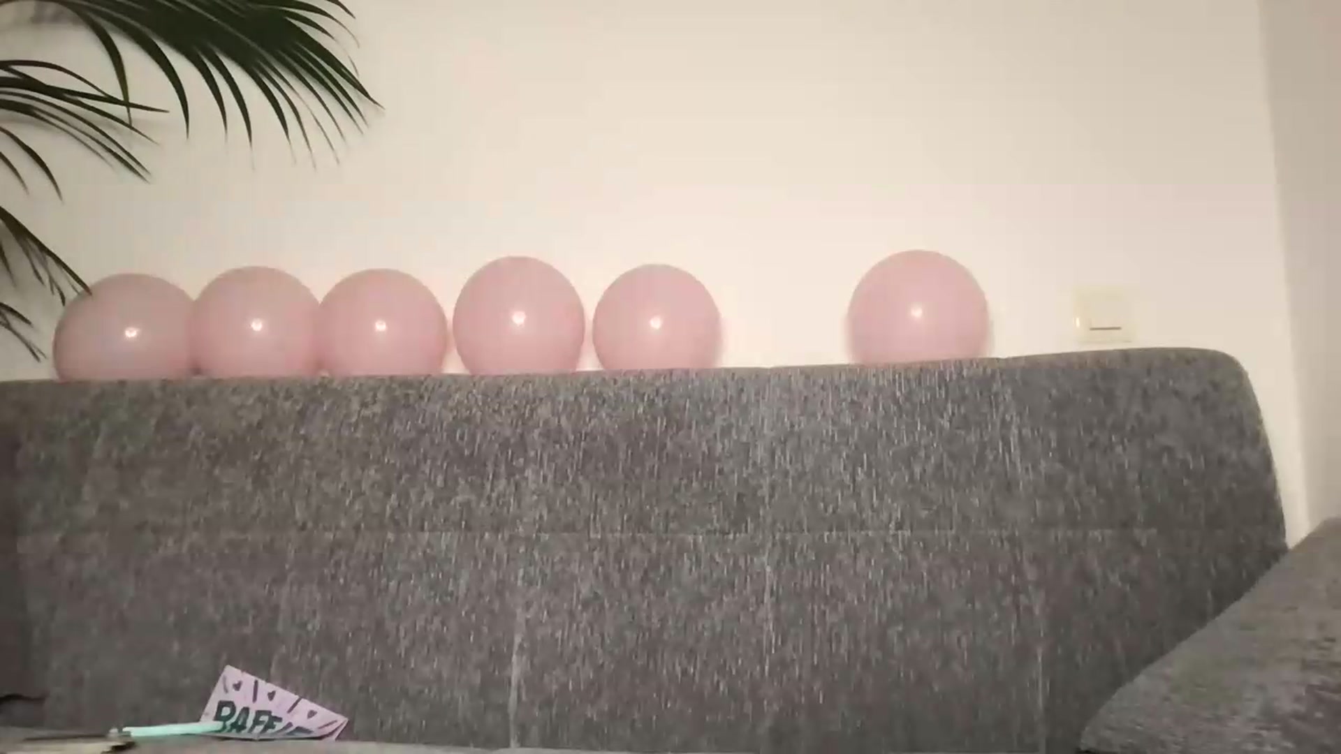 Gallery image thumbnail from PrePreBdayMonth's myfreecams stream on, 05/31/2026, 21:41 image 8 of 20