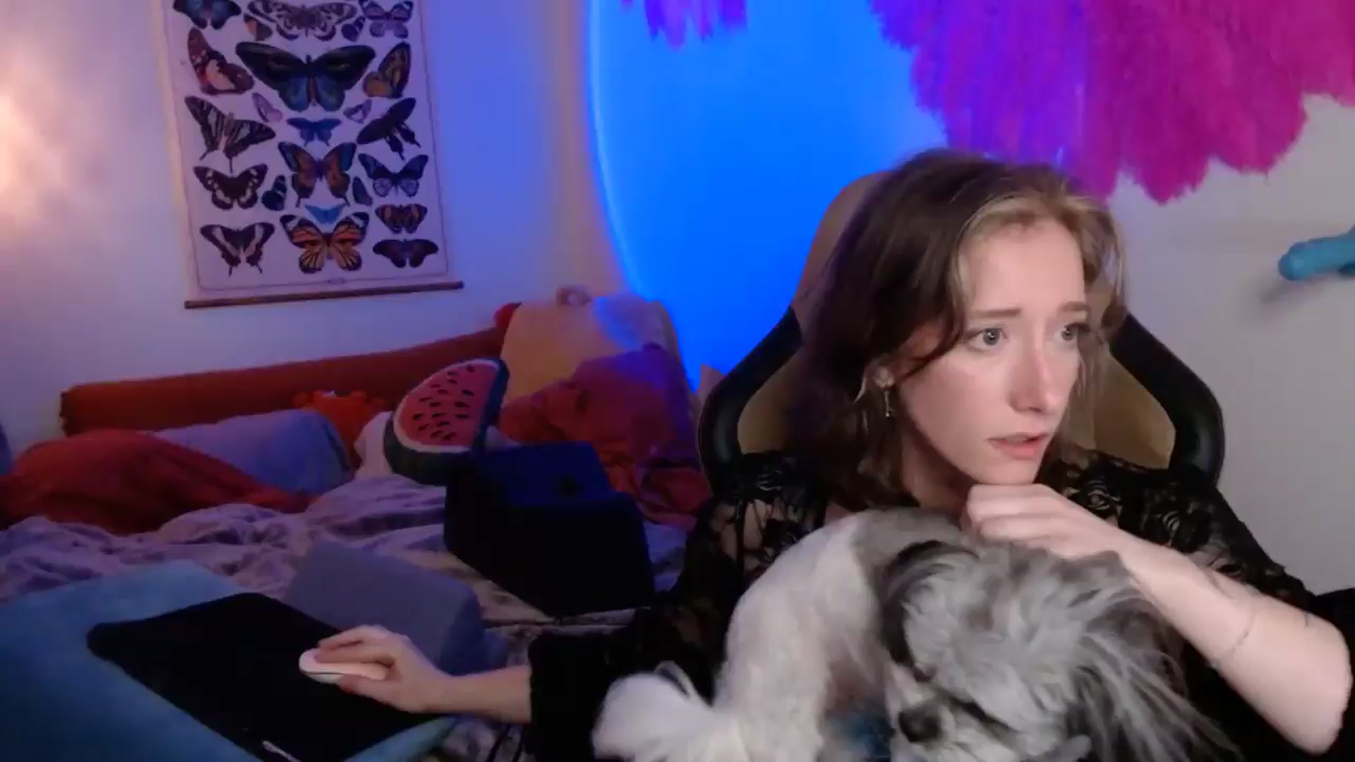 Gallery image thumbnail from PreciousGemma's myfreecams stream on, 03/27/2026, 05:41 image 1 of 20