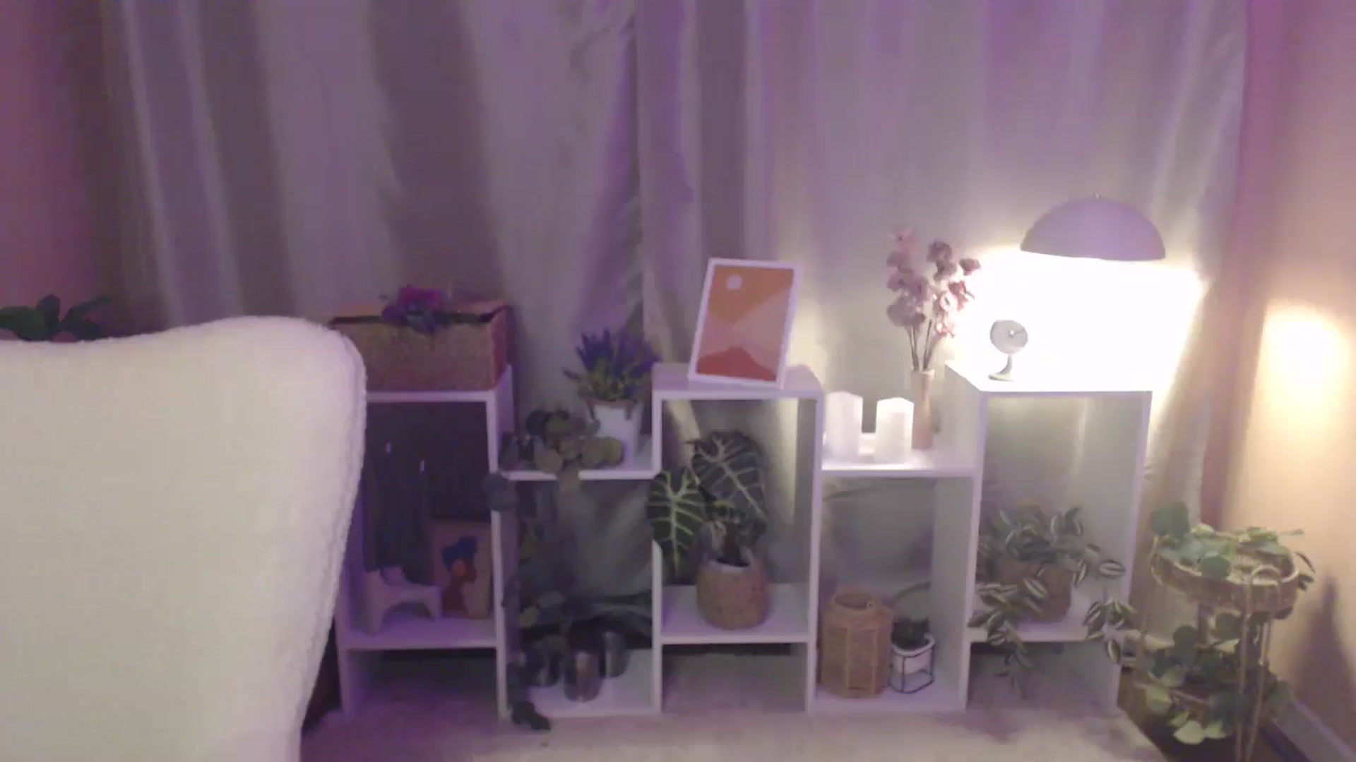 Gallery image thumbnail from PresleyPuff's myfreecams stream on, 02/02/2025, 14:52 image 12 of 20