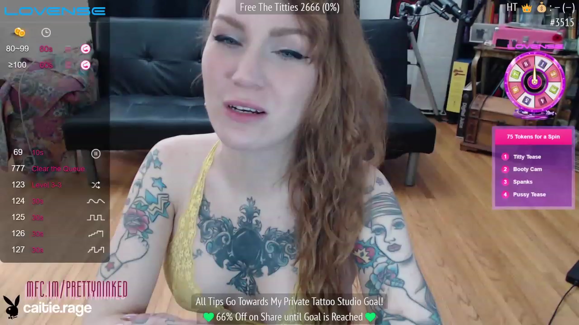 Gallery image thumbnail from PrettyNInked's myfreecams stream on, 01/31/2023, 16:19 image 4 of 20