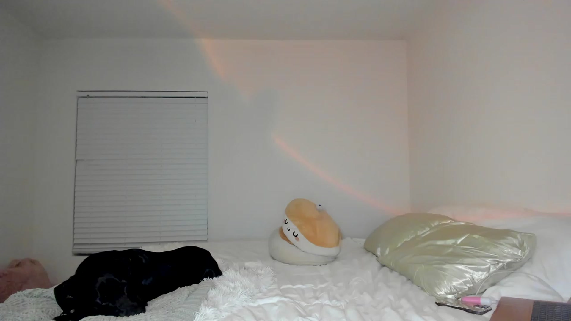 Gallery image thumbnail from PrettyX0Kat's myfreecams stream on, 02/17/2023, 04:33 image 15 of 20