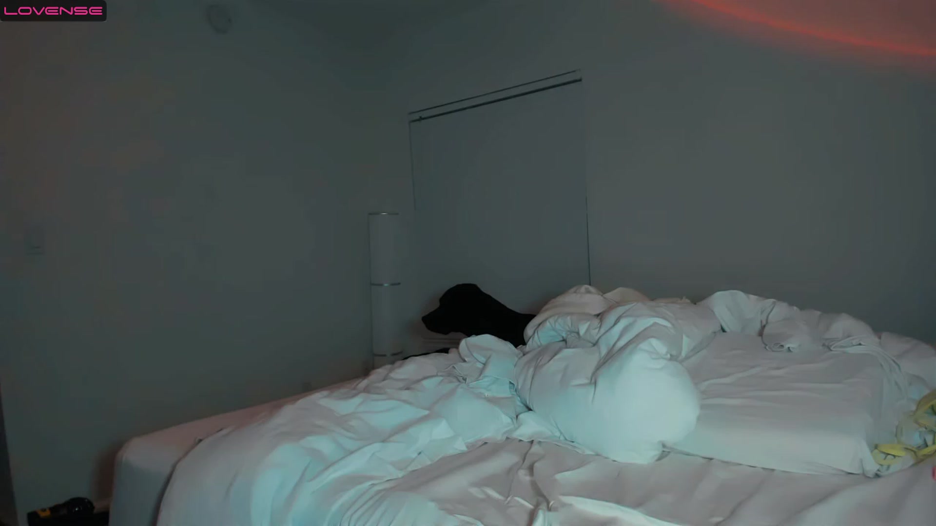 Gallery image thumbnail from PrettyX0Kat's myfreecams stream on, 03/18/2023, 06:29 image 5 of 20