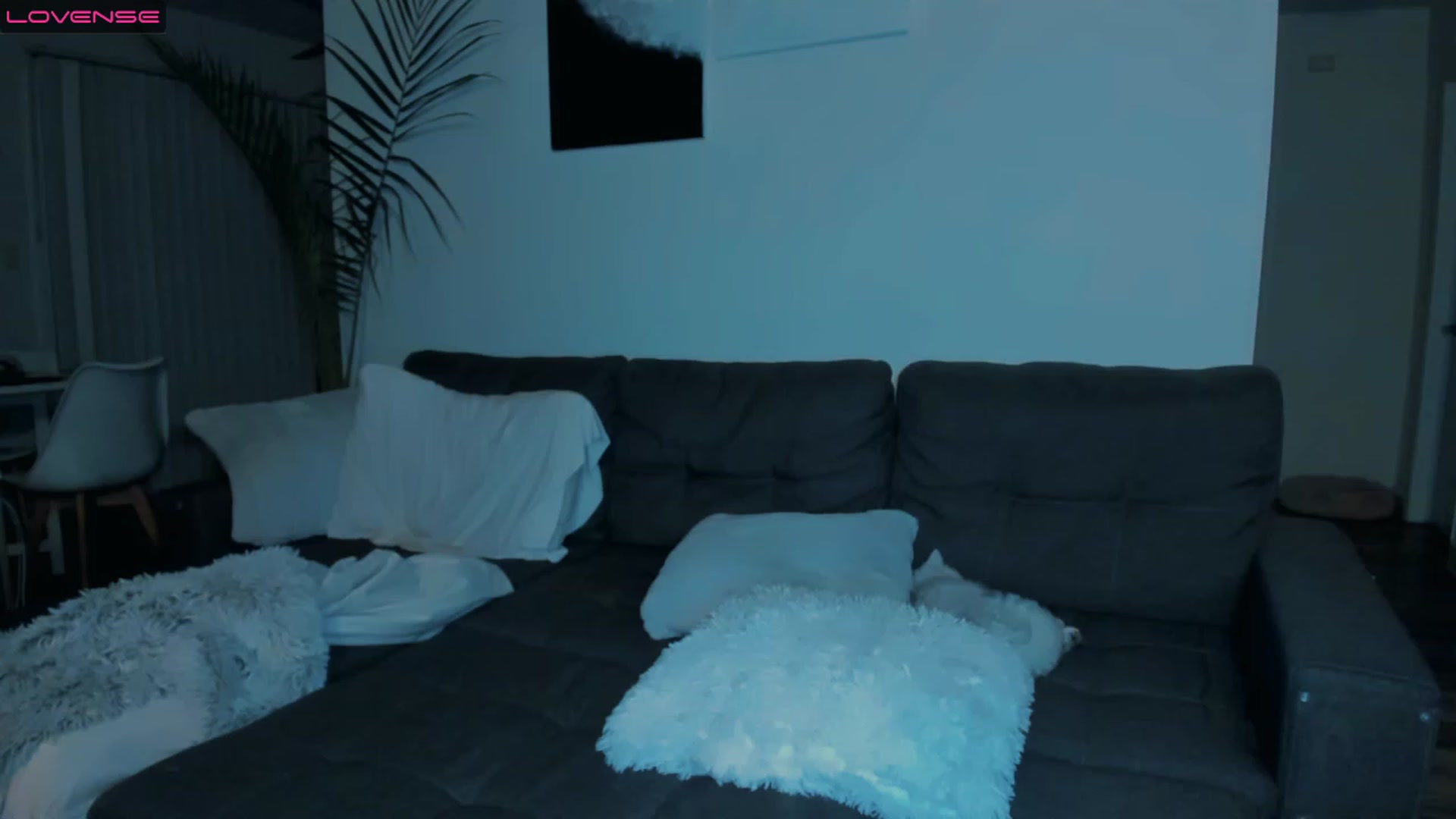 Gallery image thumbnail from PrettyX0Kat's myfreecams stream on, 04/01/2023, 04:19 image 9 of 20