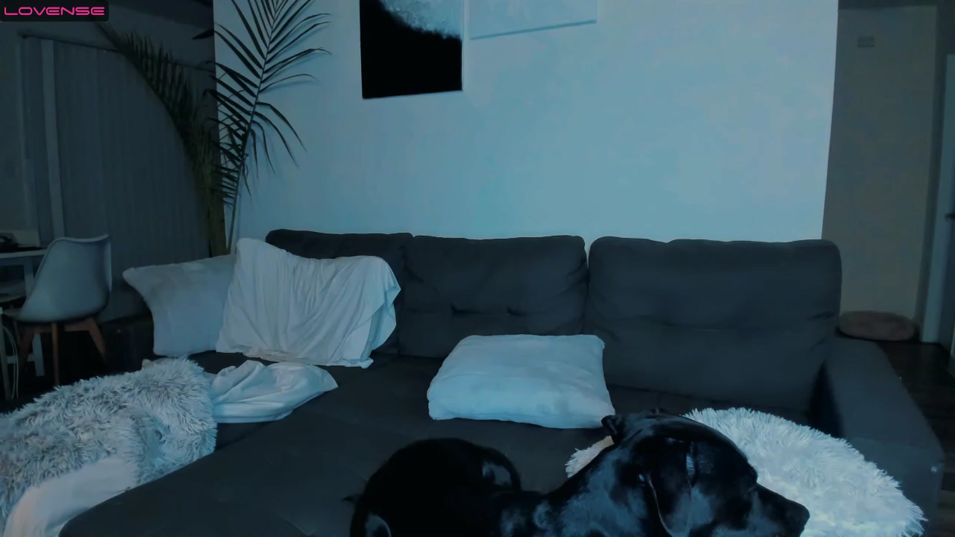 Gallery image thumbnail from PrettyX0Kat's myfreecams stream on, 04/01/2023, 04:19 image 11 of 20