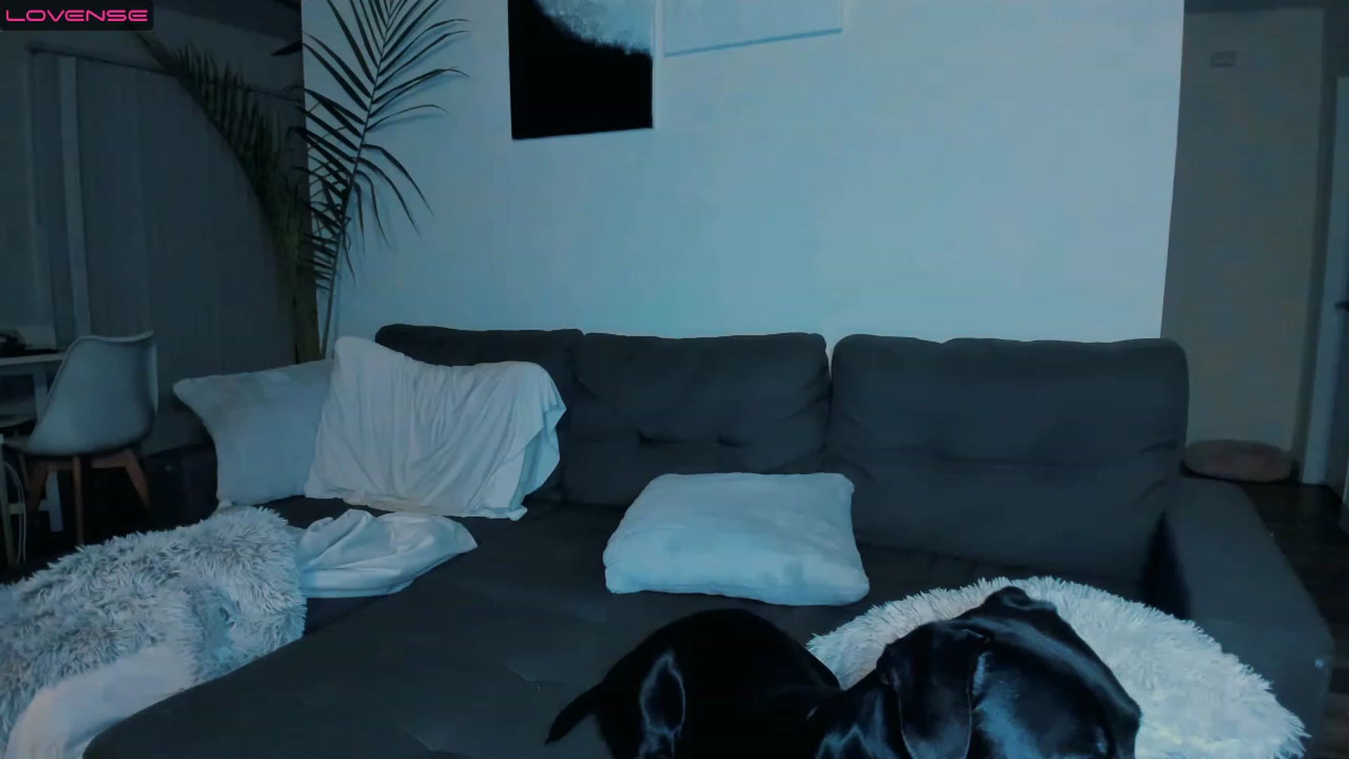 Gallery image thumbnail from PrettyX0Kat's myfreecams stream on, 04/01/2023, 04:19 image 12 of 20