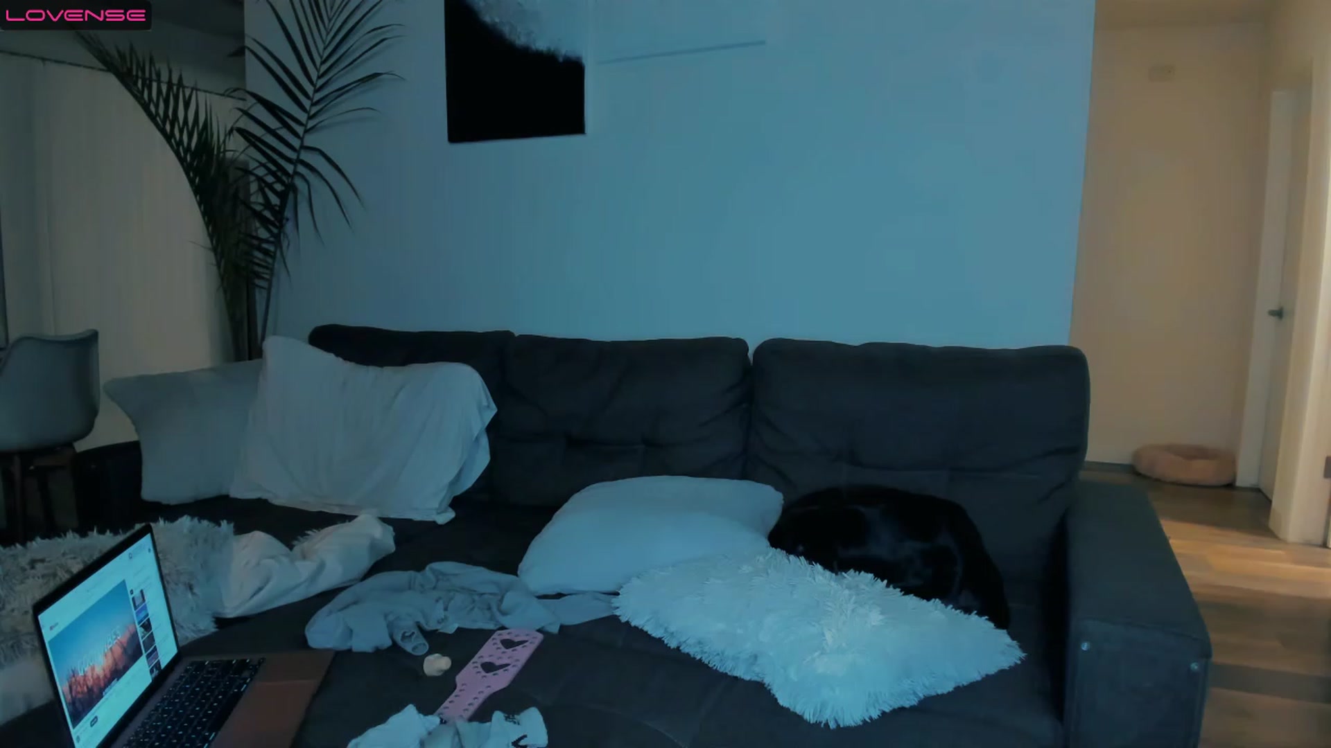 Gallery image thumbnail from PrettyX0Kat's myfreecams stream on, 04/01/2023, 06:29 image 9 of 20