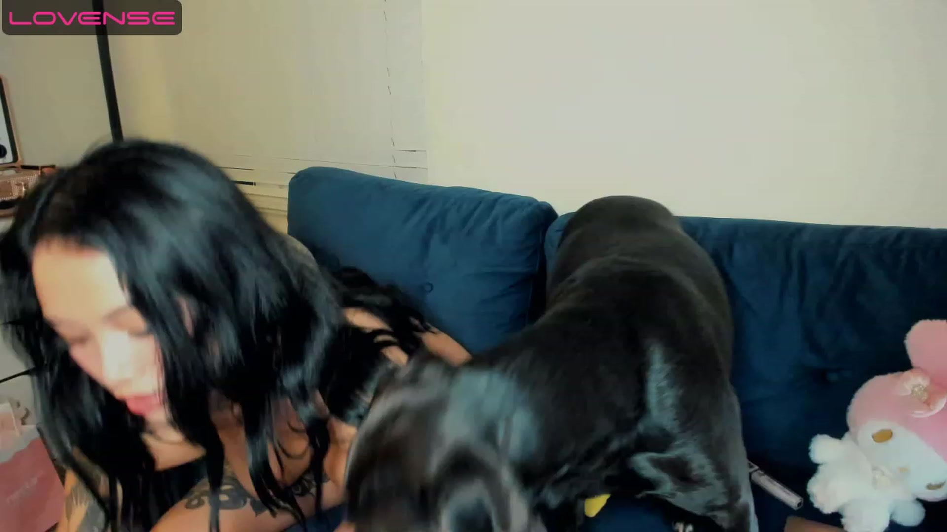 Gallery image thumbnail from PrettyX0Kat's myfreecams stream on, 04/21/2023, 04:25 image 13 of 20