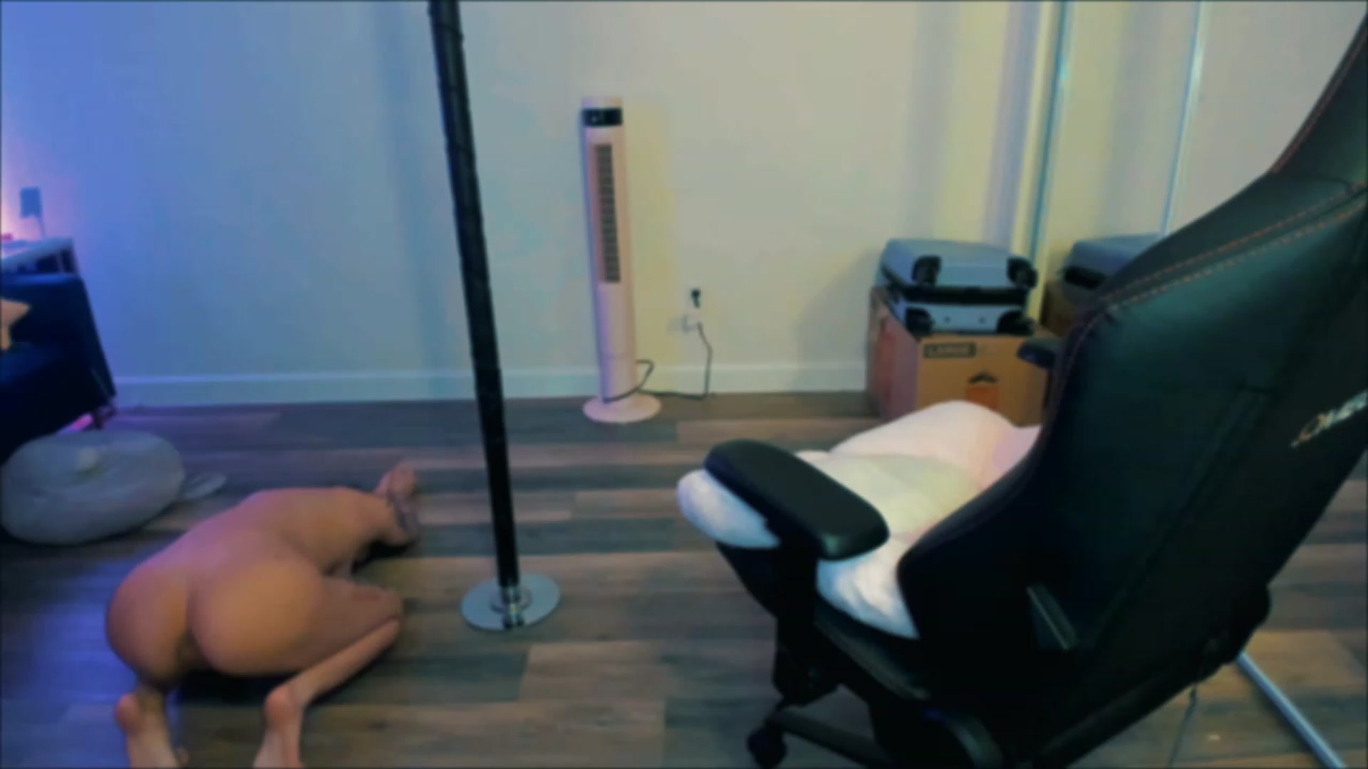Gallery image thumbnail from PrettyX0Kat's myfreecams stream on, 05/27/2023, 06:20 image 18 of 20