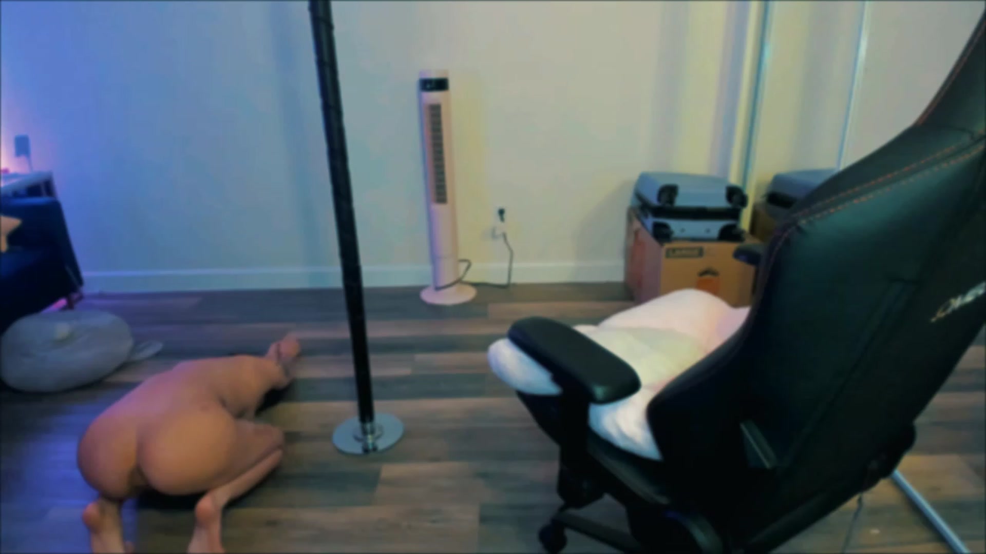 Gallery image thumbnail from PrettyX0Kat's myfreecams stream on, 05/27/2023, 06:20 image 17 of 20