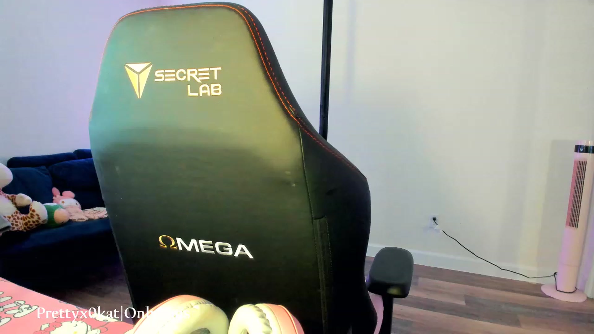 Gallery image thumbnail from PrettyX0Kat's myfreecams stream on, 07/01/2023, 01:22 image 19 of 20
