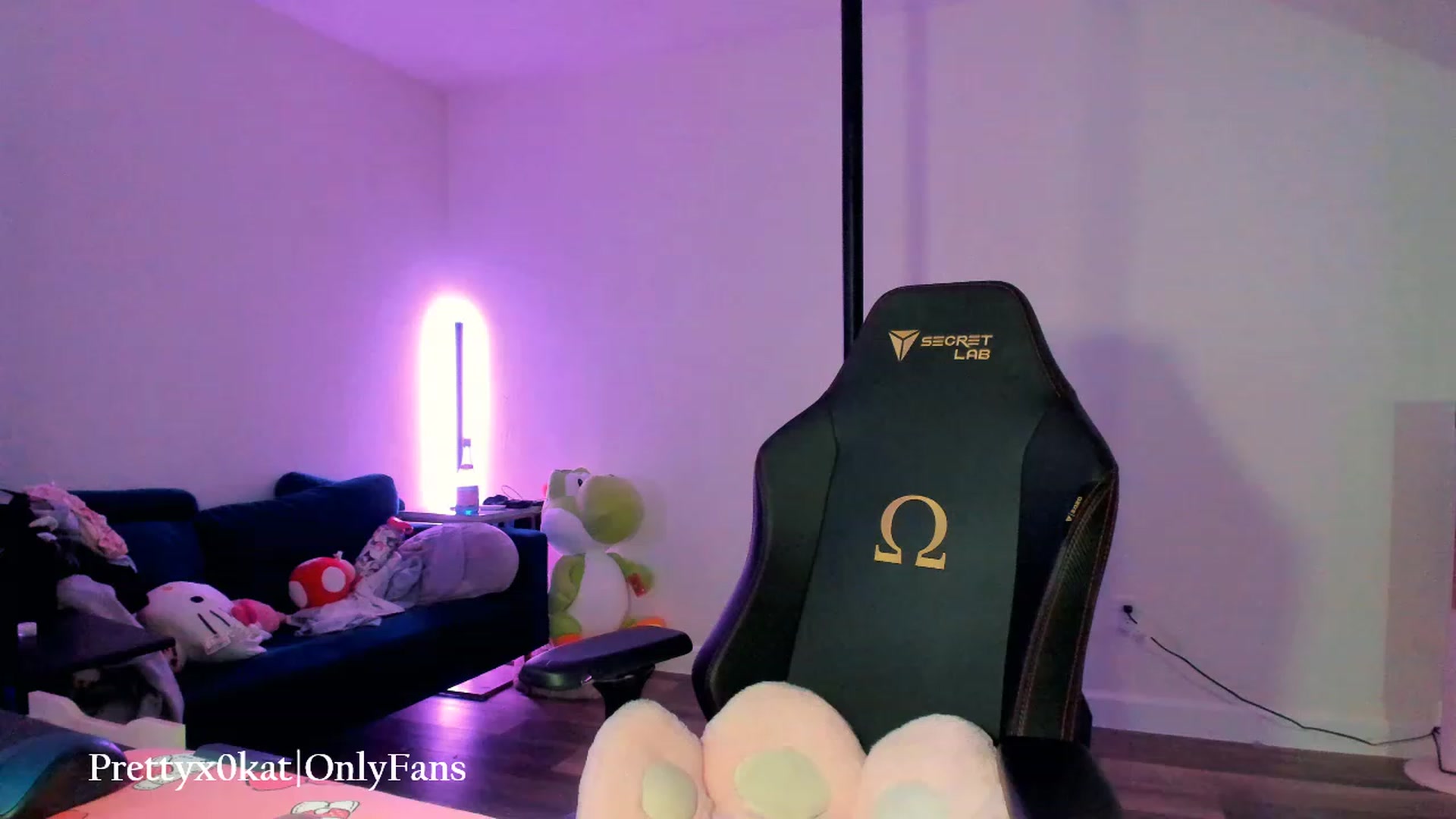 Gallery image thumbnail from PrettyX0Kat's myfreecams stream on, 07/07/2023, 03:47 image 12 of 20