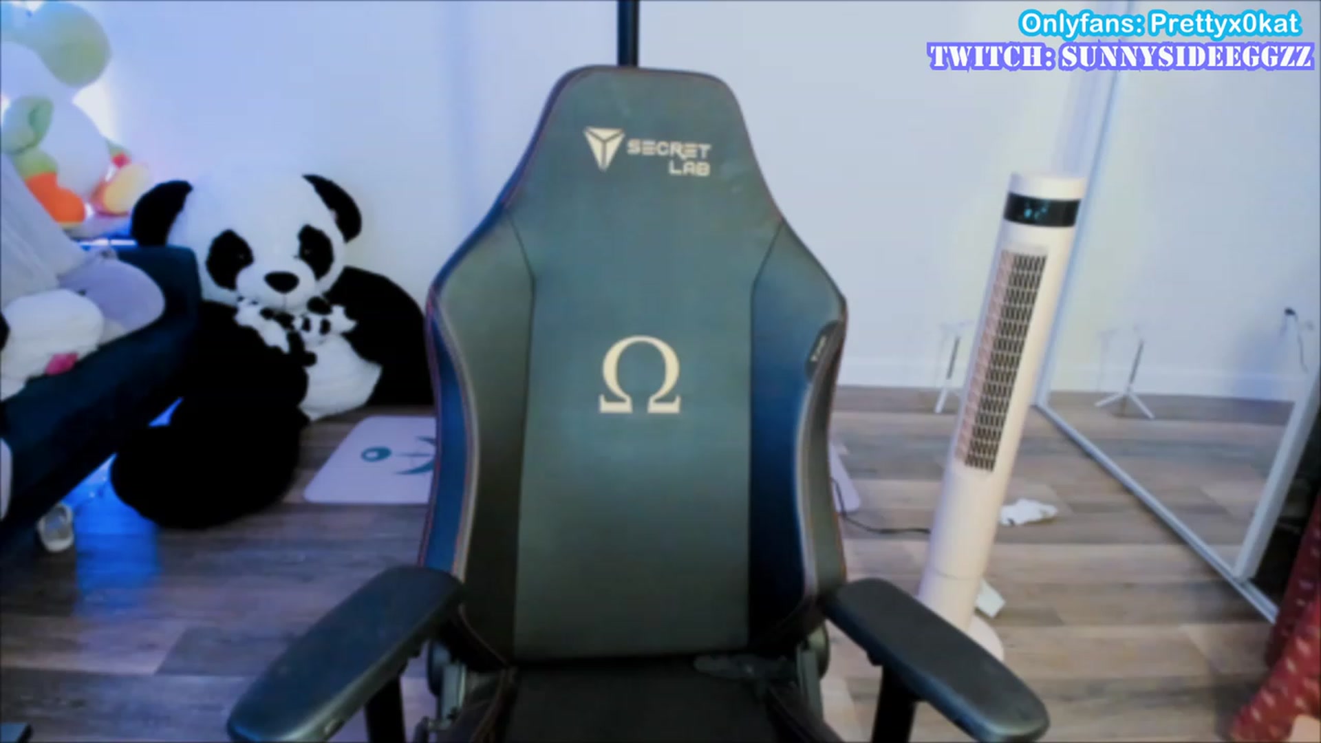 Gallery image thumbnail from PrettyX0Kat's myfreecams stream on, 07/28/2023, 04:01 image 10 of 20