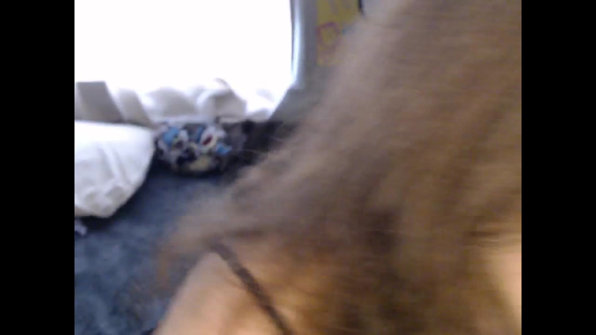 Gallery image thumbnail from Prettybutsad's myfreecams stream on, 08/02/2024, 13:51 image 20 of 20