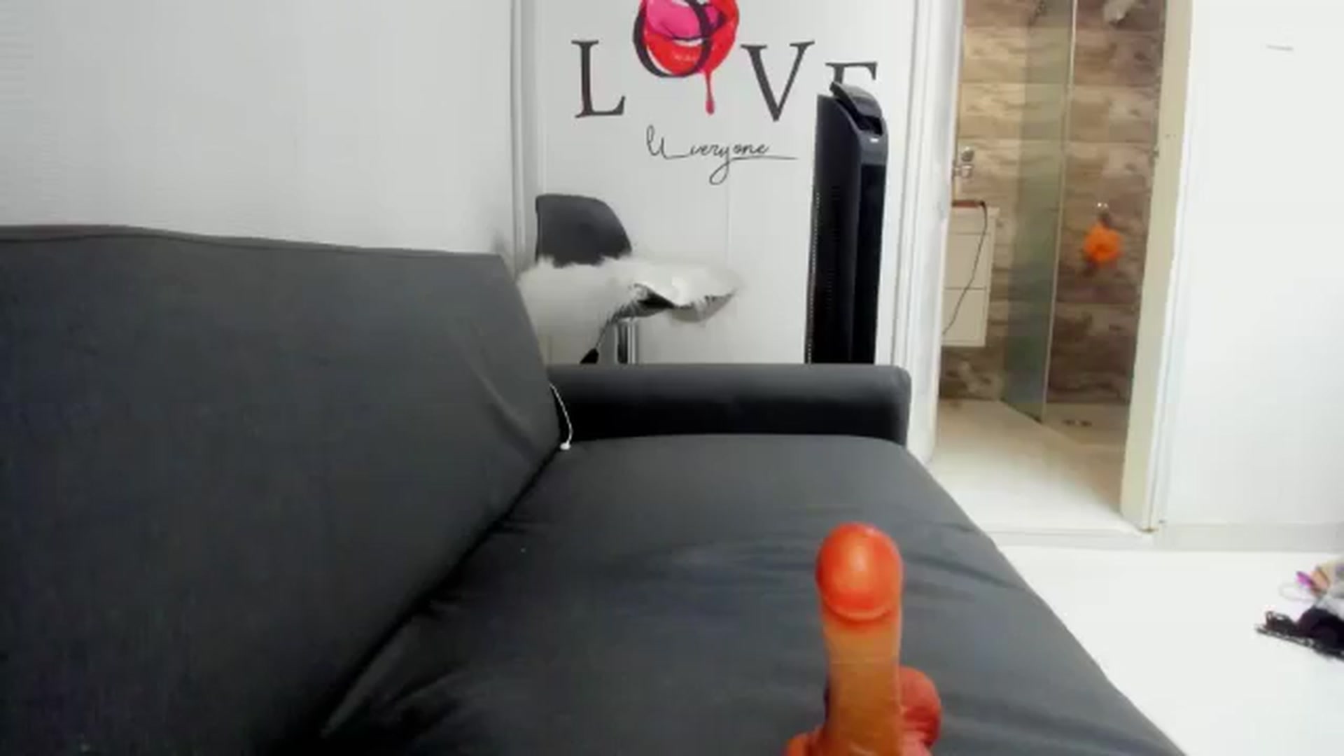 Gallery image thumbnail from Preziosabella's myfreecams stream on, 09/19/2024, 21:38 image 20 of 20