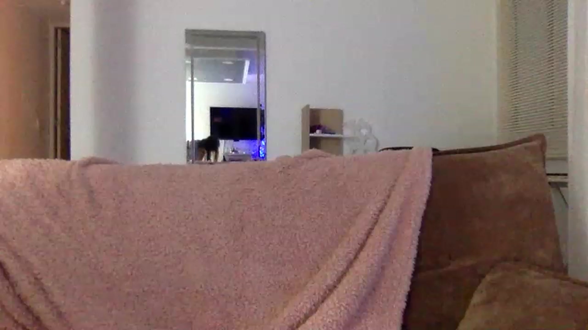 Gallery image thumbnail from Princesalatin's myfreecams stream on, 11/17/2022, 23:09 image 15 of 20