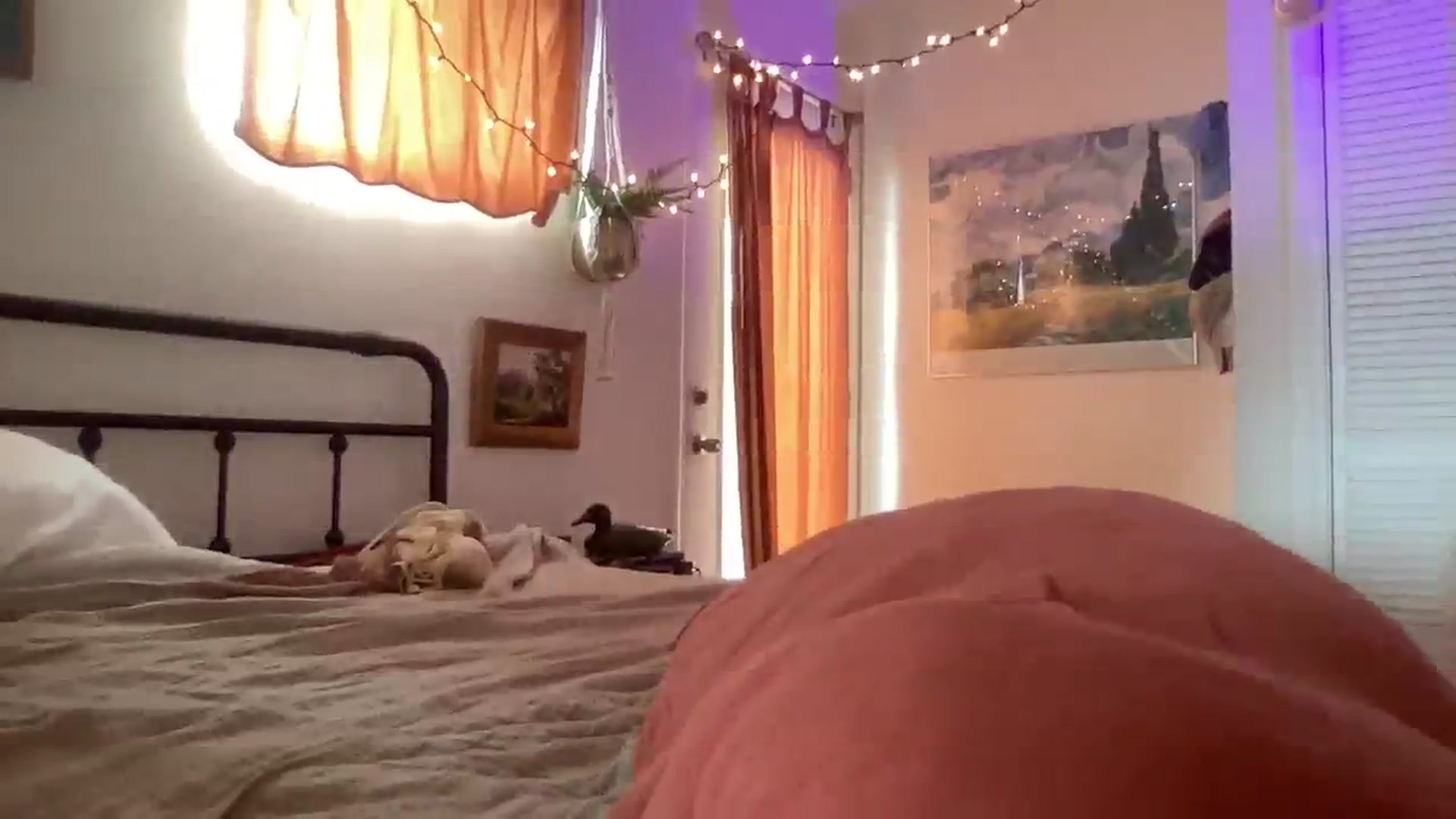 Gallery image thumbnail from PrincessElla_'s myfreecams stream on, 08/18/2023, 01:22 image 10 of 20