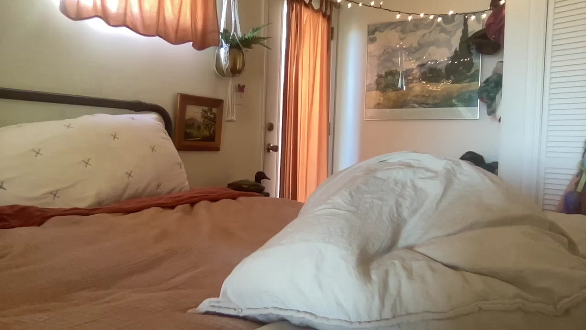 Gallery image thumbnail from PrincessElla_'s myfreecams stream on, 01/13/2024, 24:02 image 5 of 20