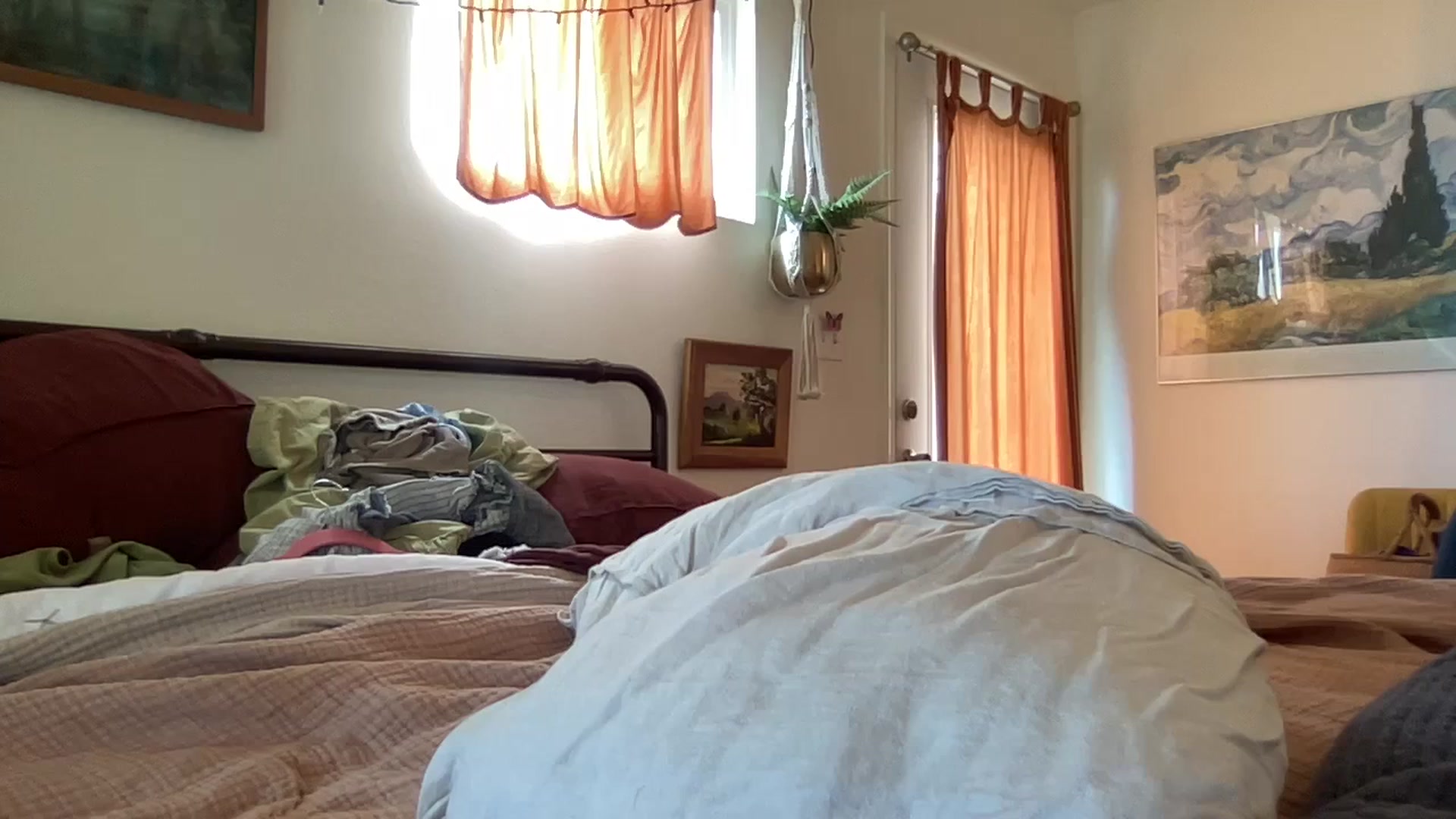 Gallery image thumbnail from PrincessElla_'s myfreecams stream on, 02/11/2024, 22:32 image 12 of 20