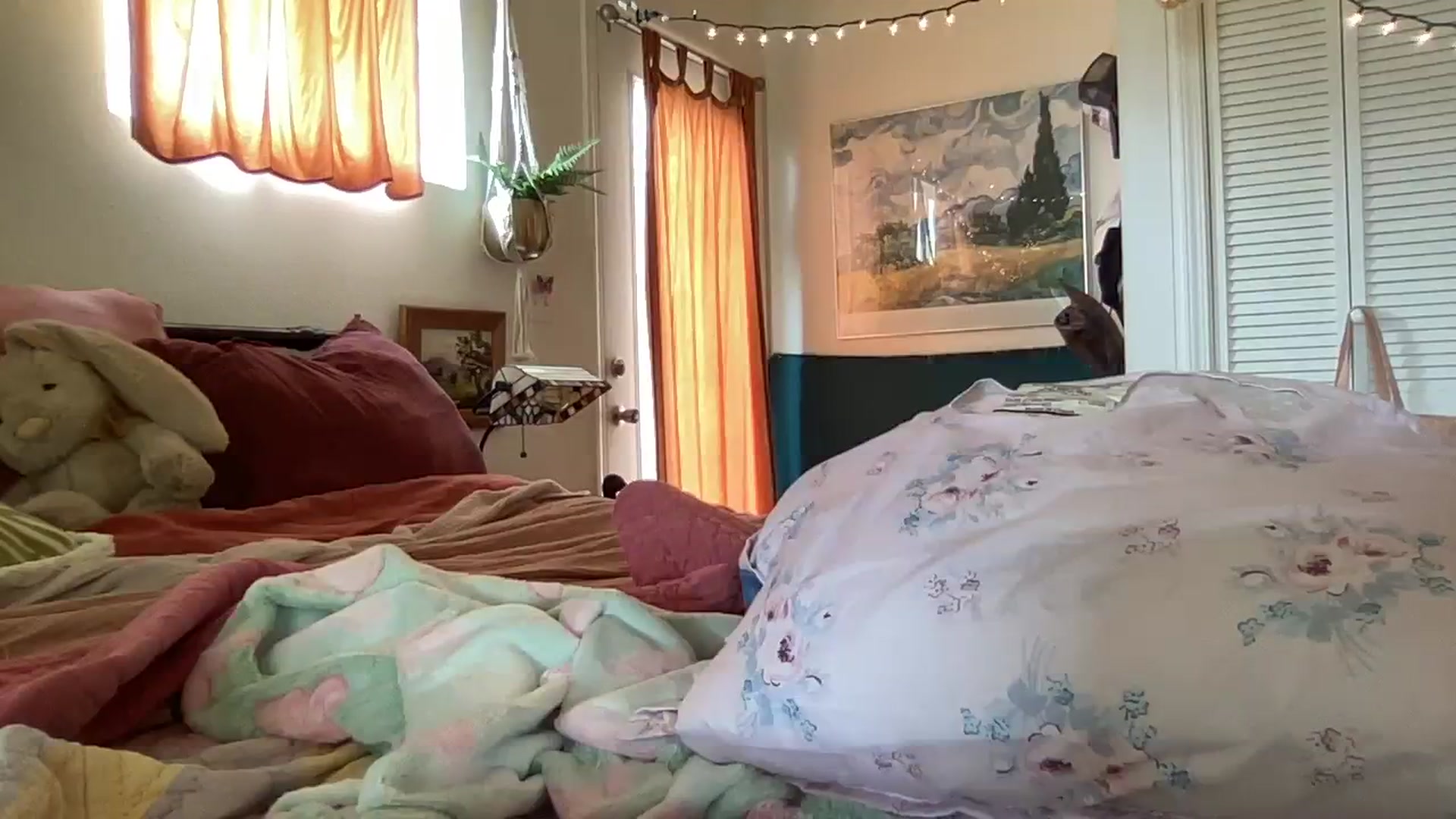 Gallery image thumbnail from PrincessElla_'s myfreecams stream on, 03/04/2024, 24:35 image 8 of 20