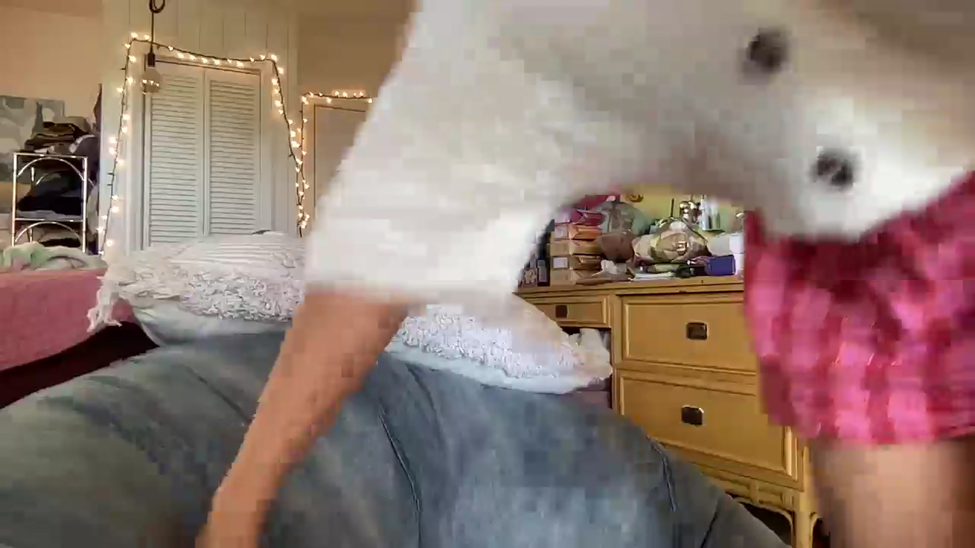 Gallery image thumbnail from PrincessElla_'s myfreecams stream on, 12/23/2024, 01:54 image 17 of 20