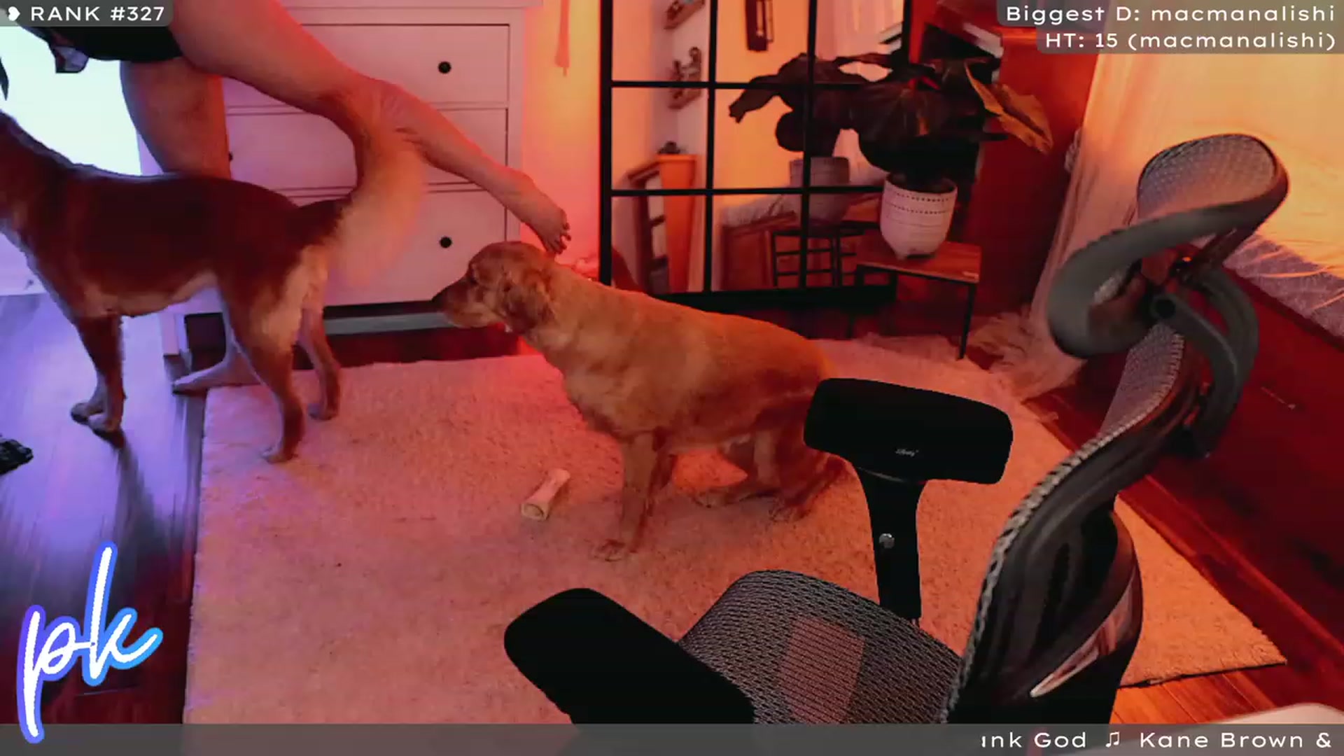 Gallery image thumbnail from PrincessKate's myfreecams stream on, 12/10/2022, 05:28 image 8 of 20