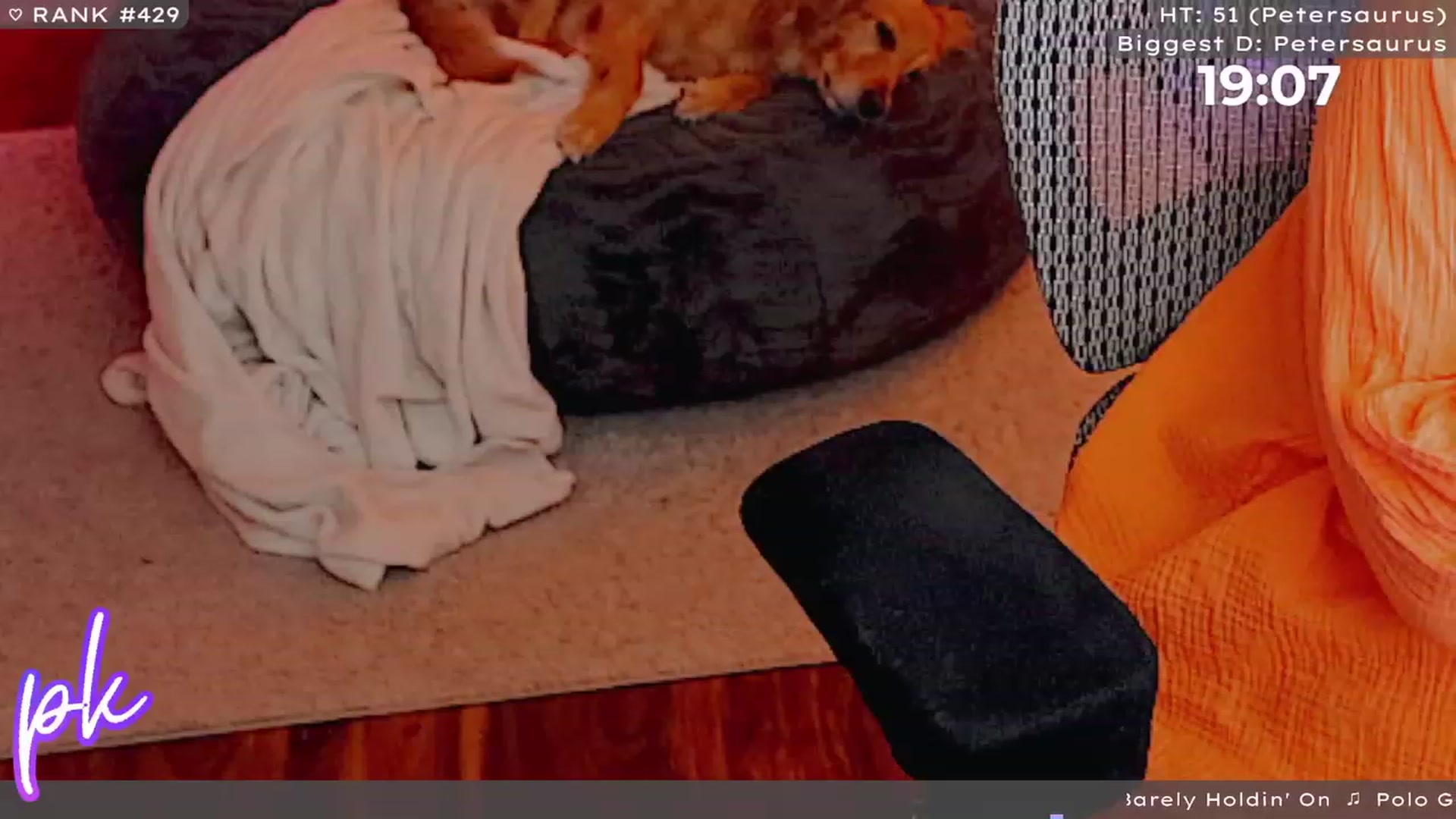 Gallery image thumbnail from PrincessKate's myfreecams stream on, 08/24/2023, 03:20 image 16 of 20