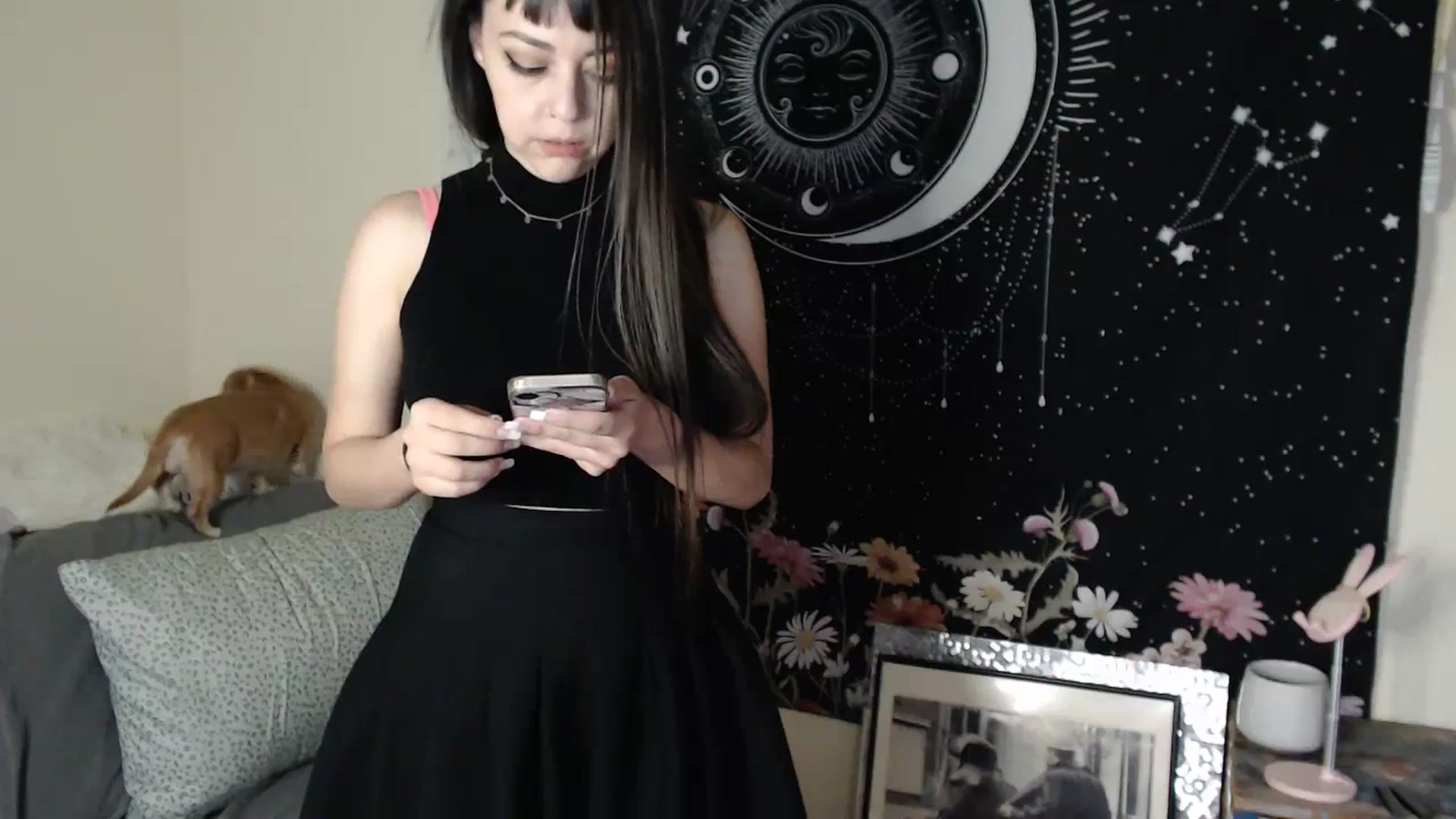 Gallery image thumbnail from PrincessZoe's myfreecams stream on, 07/20/2023, 02:42 image 3 of 20