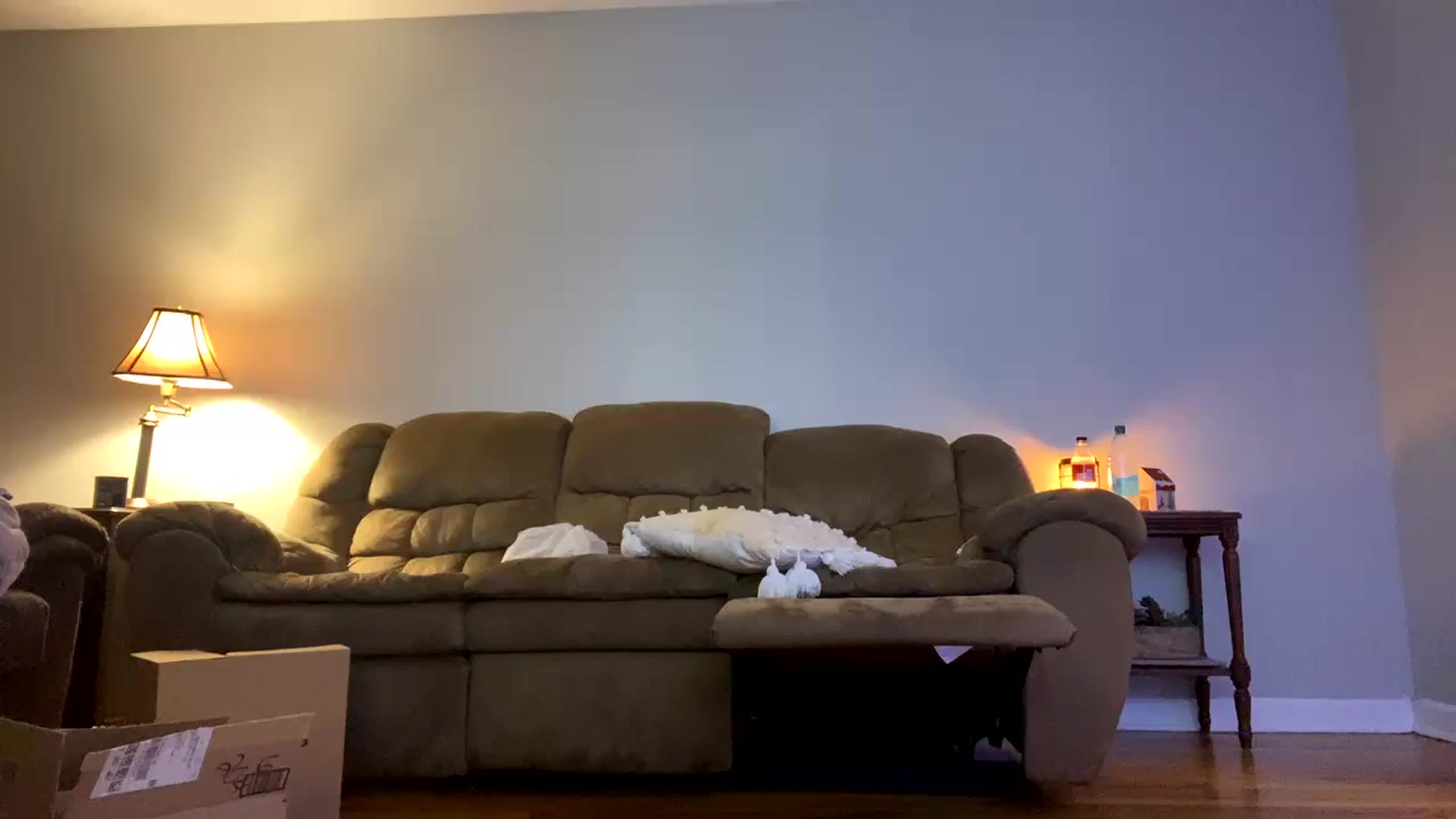 Gallery image thumbnail from Princesshann1's myfreecams stream on, 12/23/2024, 24:46 image 9 of 20