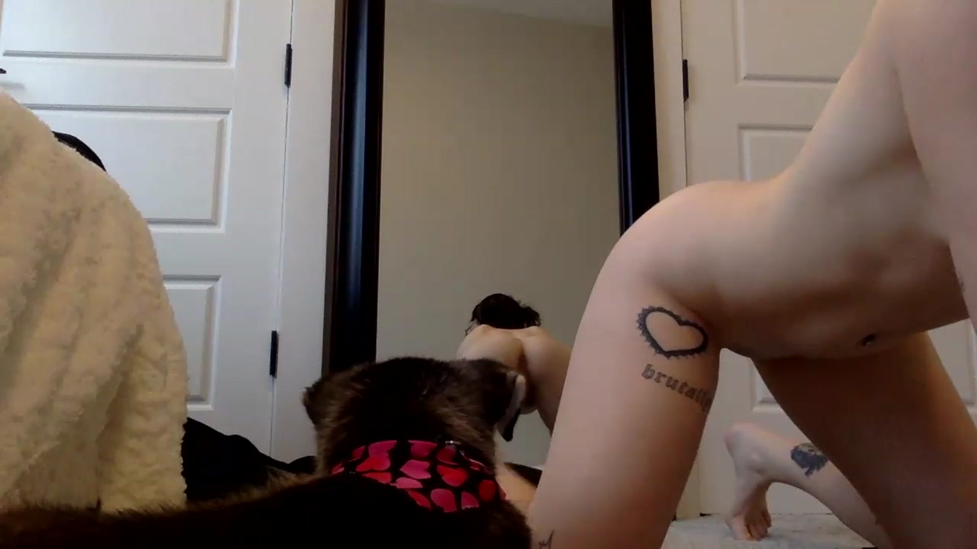 Gallery image thumbnail from Princesss25's myfreecams stream on, 02/10/2023, 15:10 image 15 of 20