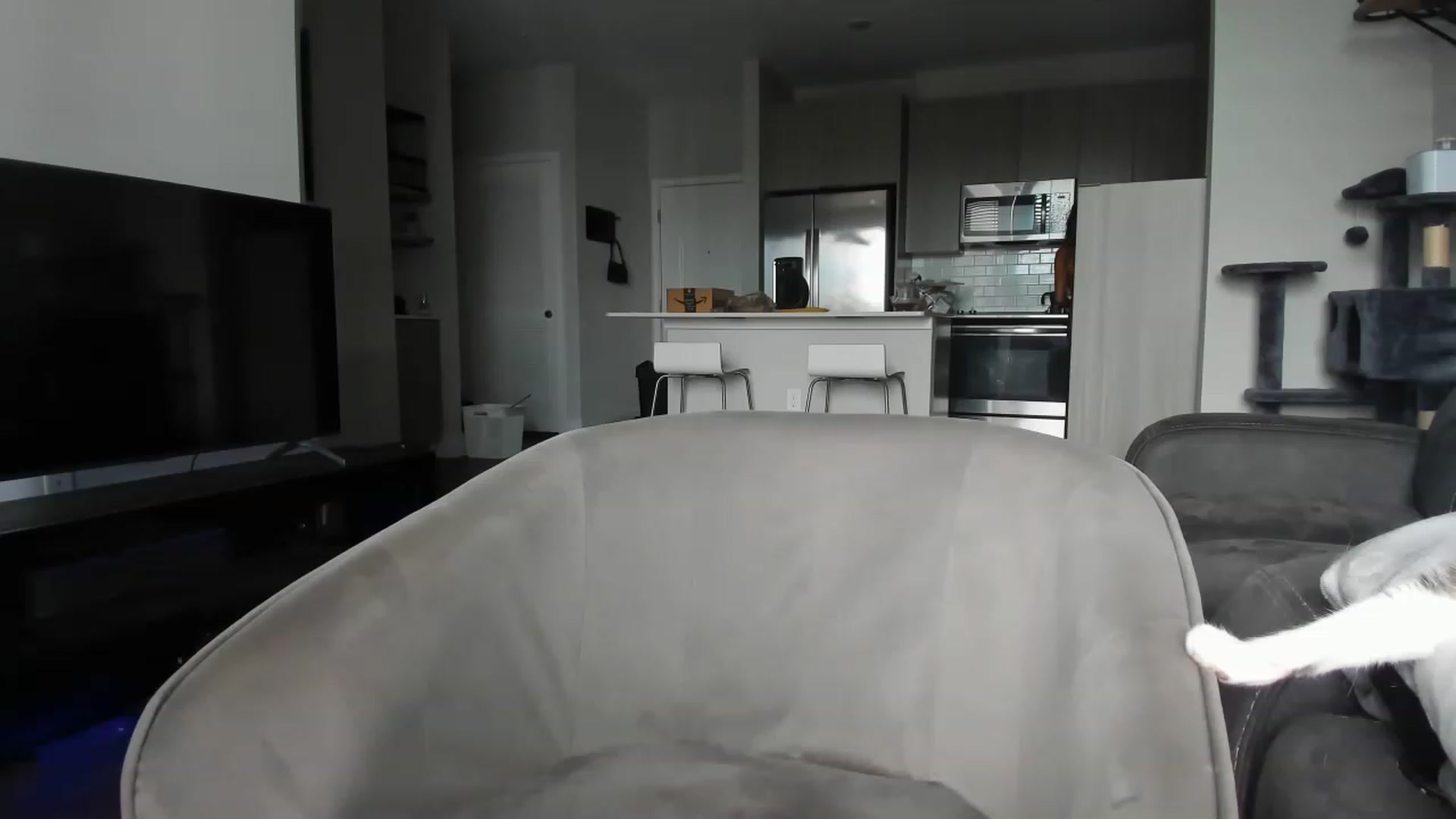 Gallery image thumbnail from PrincesssTati's myfreecams stream on, 08/09/2023, 22:39 image 3 of 20