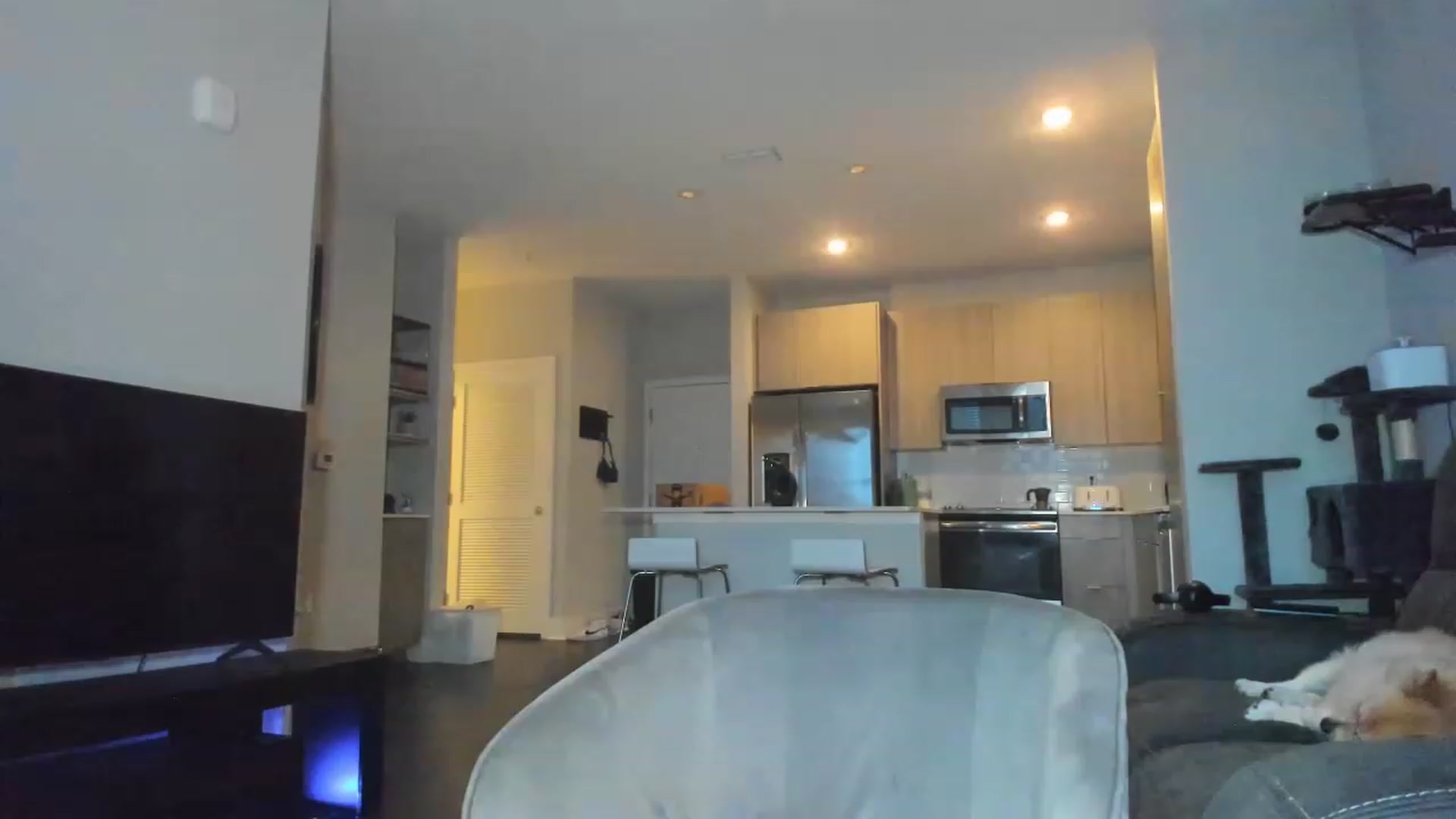 Gallery image thumbnail from PrincesssTati's myfreecams stream on, 08/15/2023, 01:10 image 2 of 20