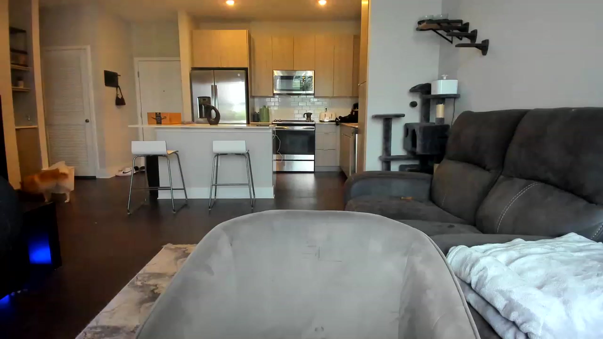 Gallery image thumbnail from PrincesssTati's myfreecams stream on, 08/17/2023, 20:45 image 19 of 20