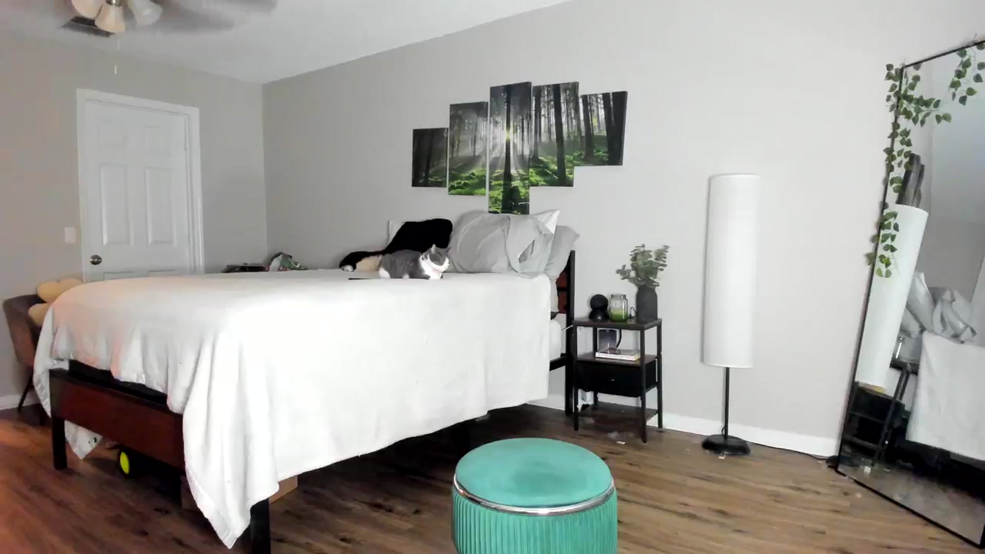 Gallery image thumbnail from PrincesssTati's myfreecams stream on, 12/30/2023, 06:59 image 9 of 20