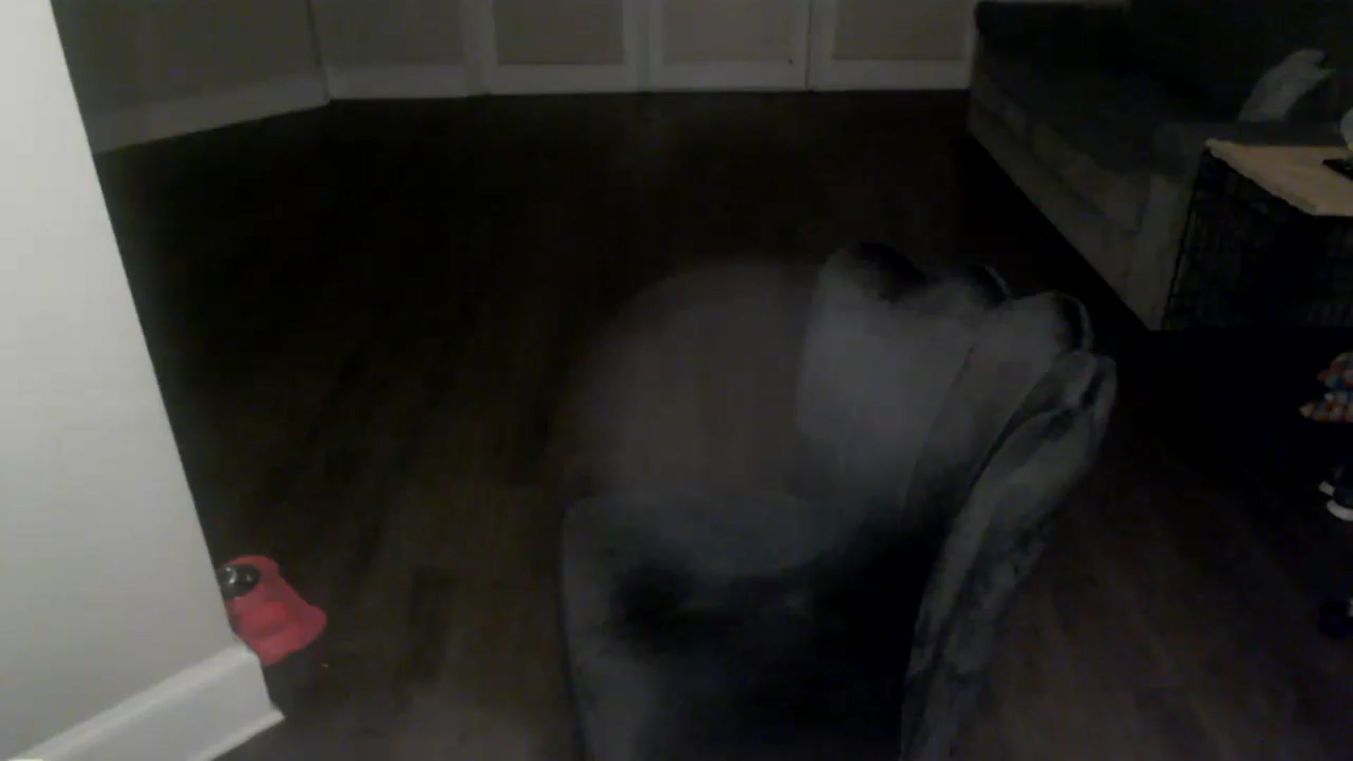 Gallery image thumbnail from PriscillaP's myfreecams stream on, 01/30/2023, 07:29 image 19 of 20
