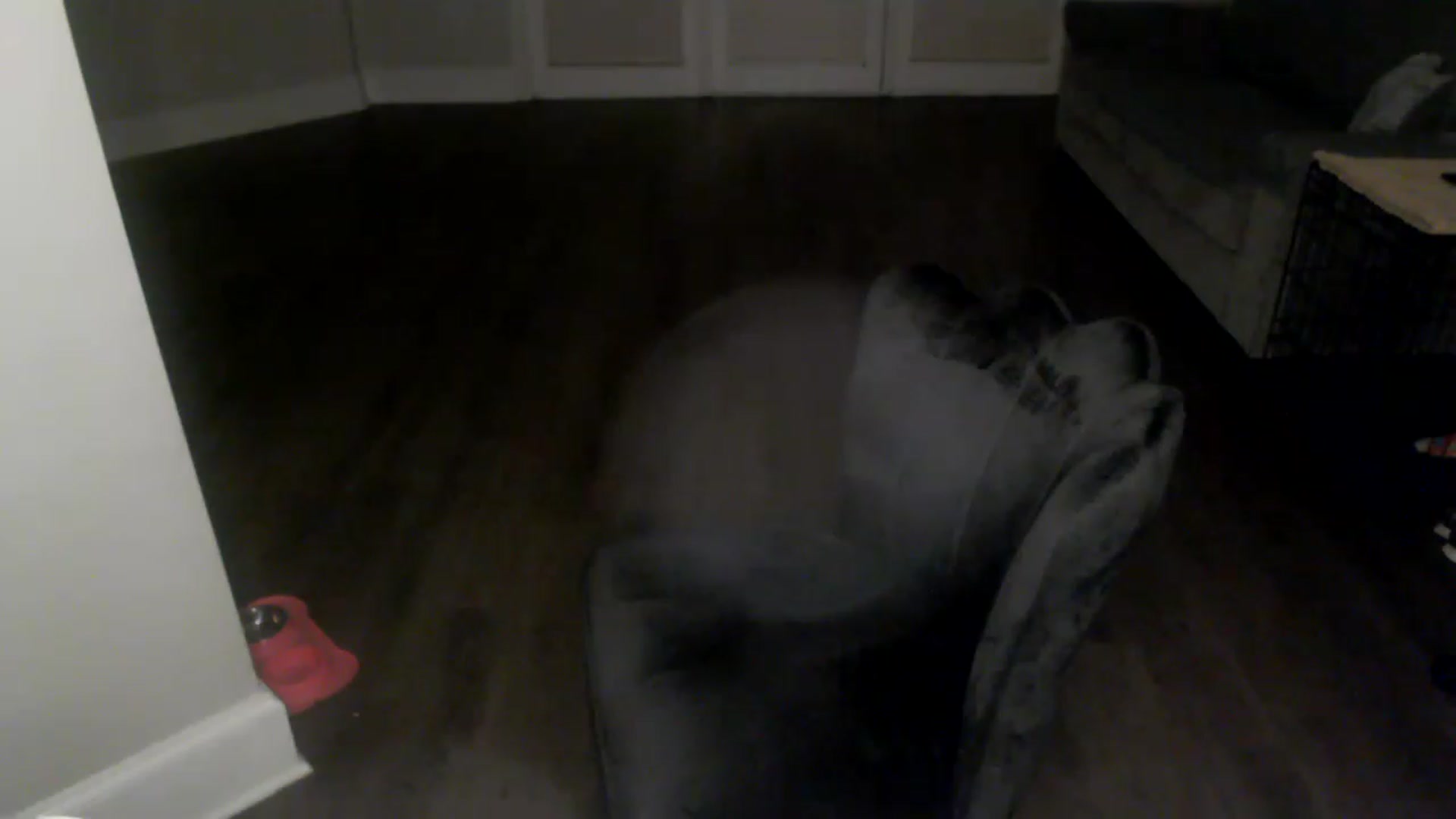 Gallery image thumbnail from PriscillaP's myfreecams stream on, 01/30/2023, 07:29 image 15 of 20