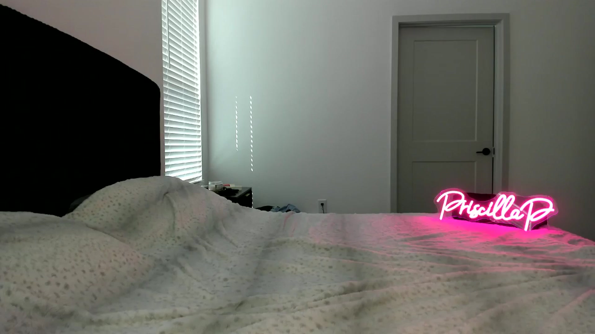 Gallery image thumbnail from PriscillaP's myfreecams stream on, 09/24/2024, 17:38 image 7 of 20