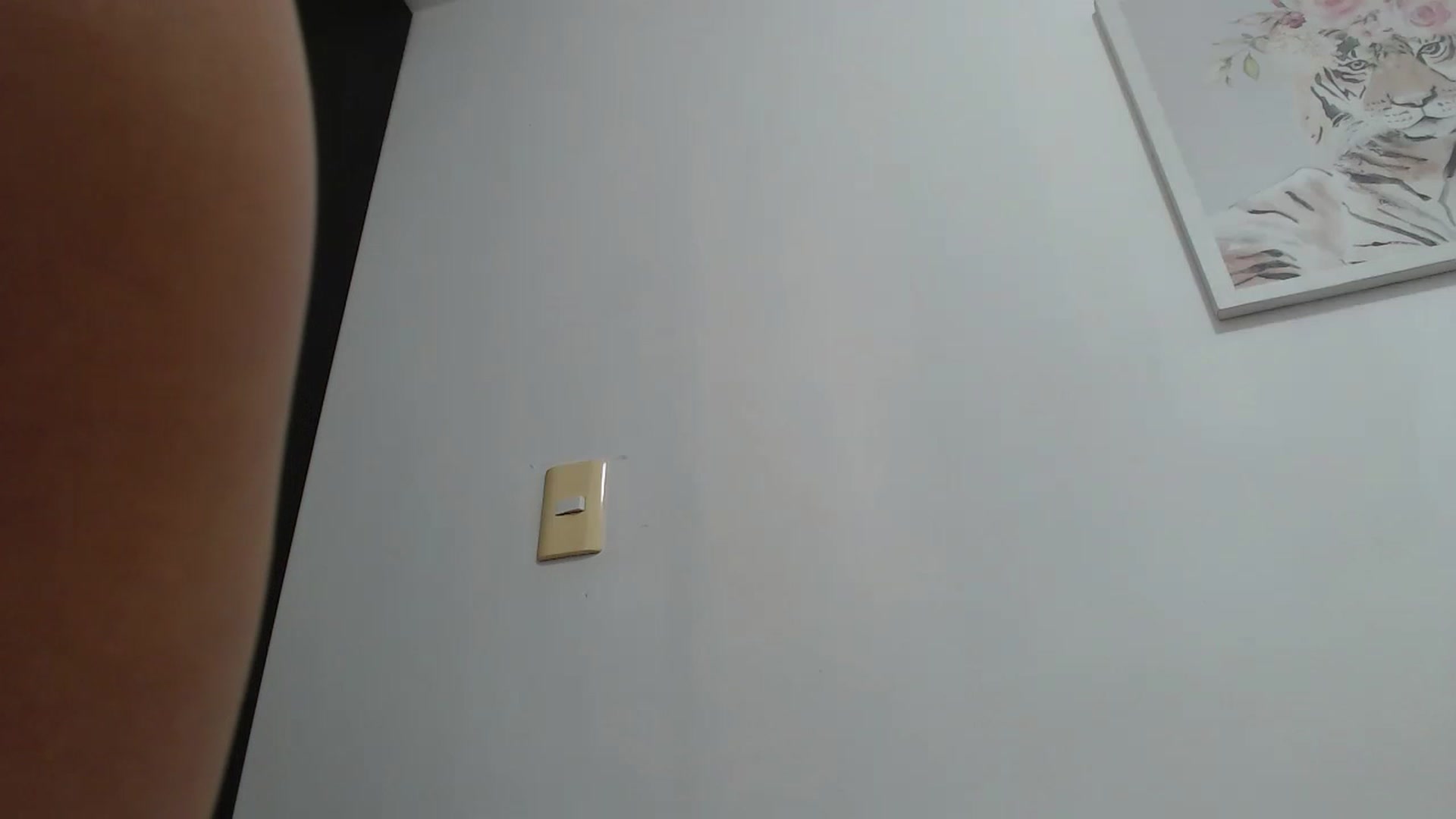 Gallery image thumbnail from Priscilla_br's myfreecams stream on, 12/18/2022, 18:26 image 11 of 20