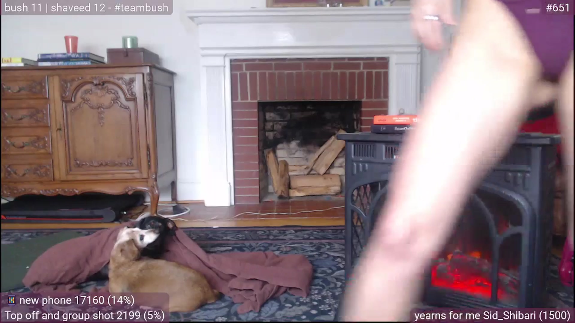 Gallery image thumbnail from Psychobaby's myfreecams stream on, 01/31/2026, 21:50 image 19 of 20