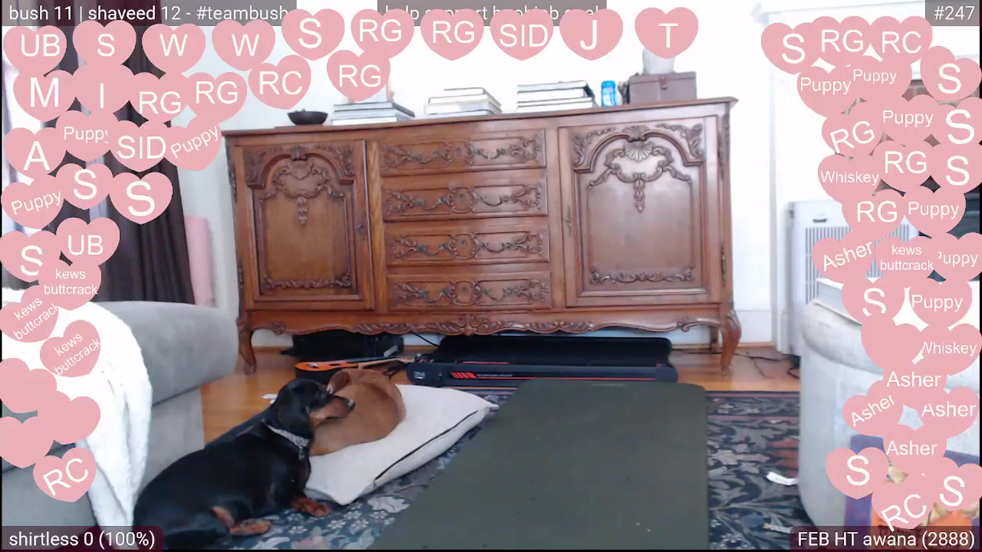 Gallery image thumbnail from Psychobaby's myfreecams stream on, 02/20/2026, 20:24 image 7 of 20