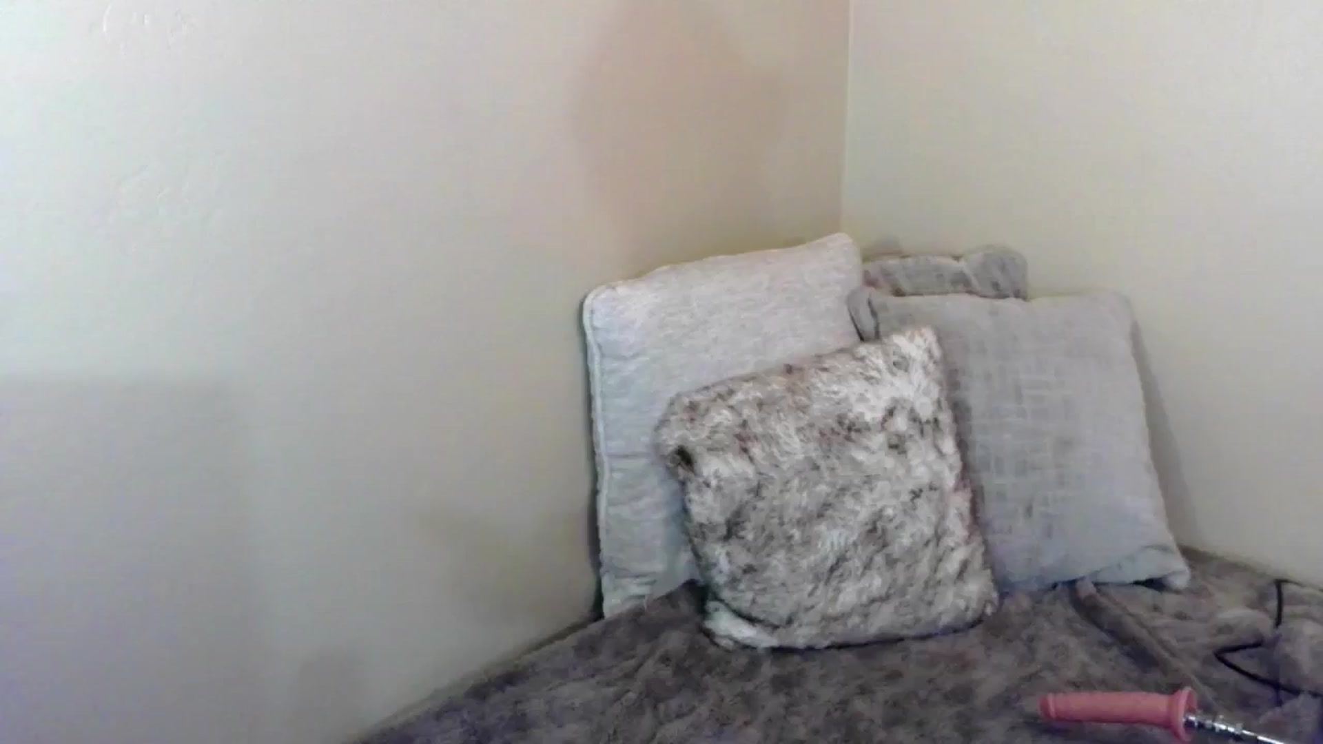 Gallery image thumbnail from PuddinXx's myfreecams stream on, 07/12/2024, 06:09 image 18 of 20