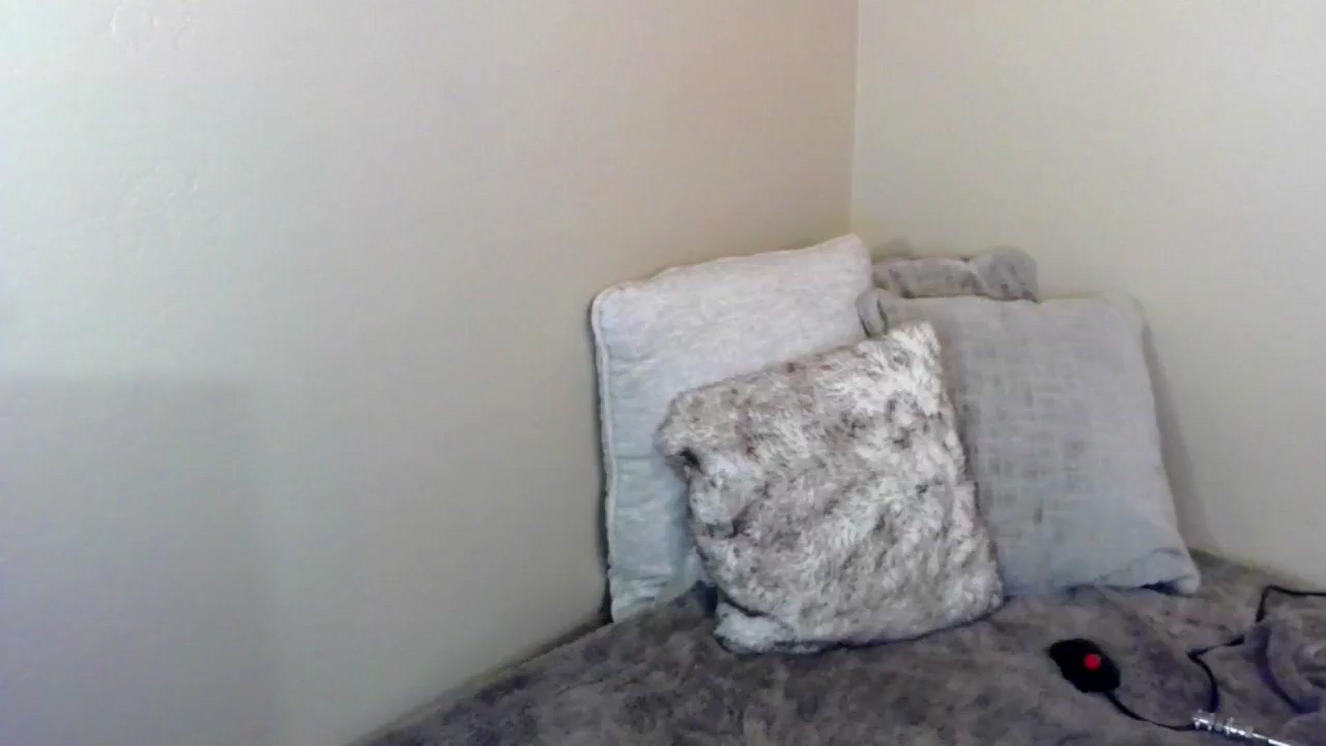 Gallery image thumbnail from PuddinXx's myfreecams stream on, 07/12/2024, 06:09 image 6 of 20